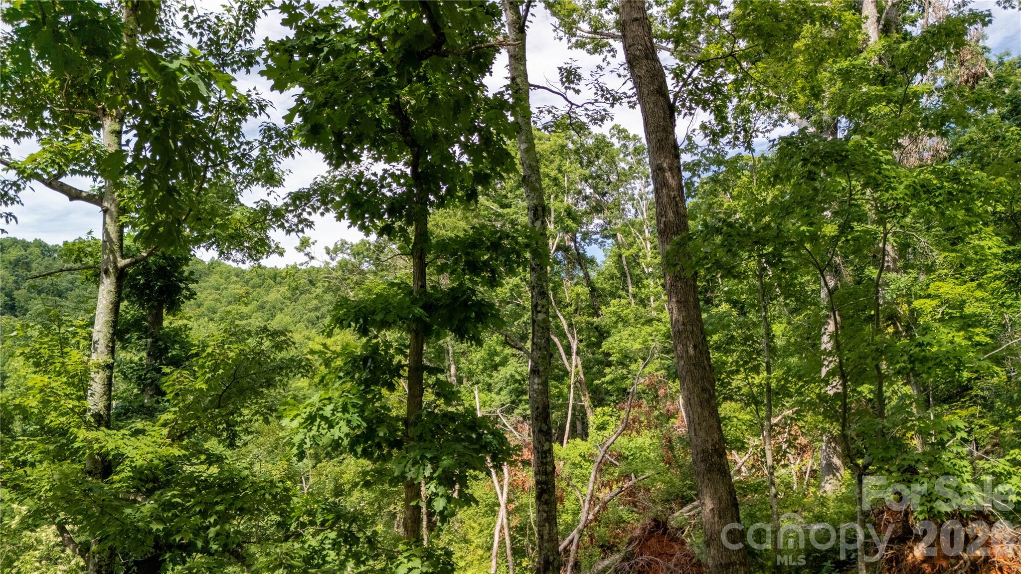 Lot 146 Shire Lane 146 Property Photo 6