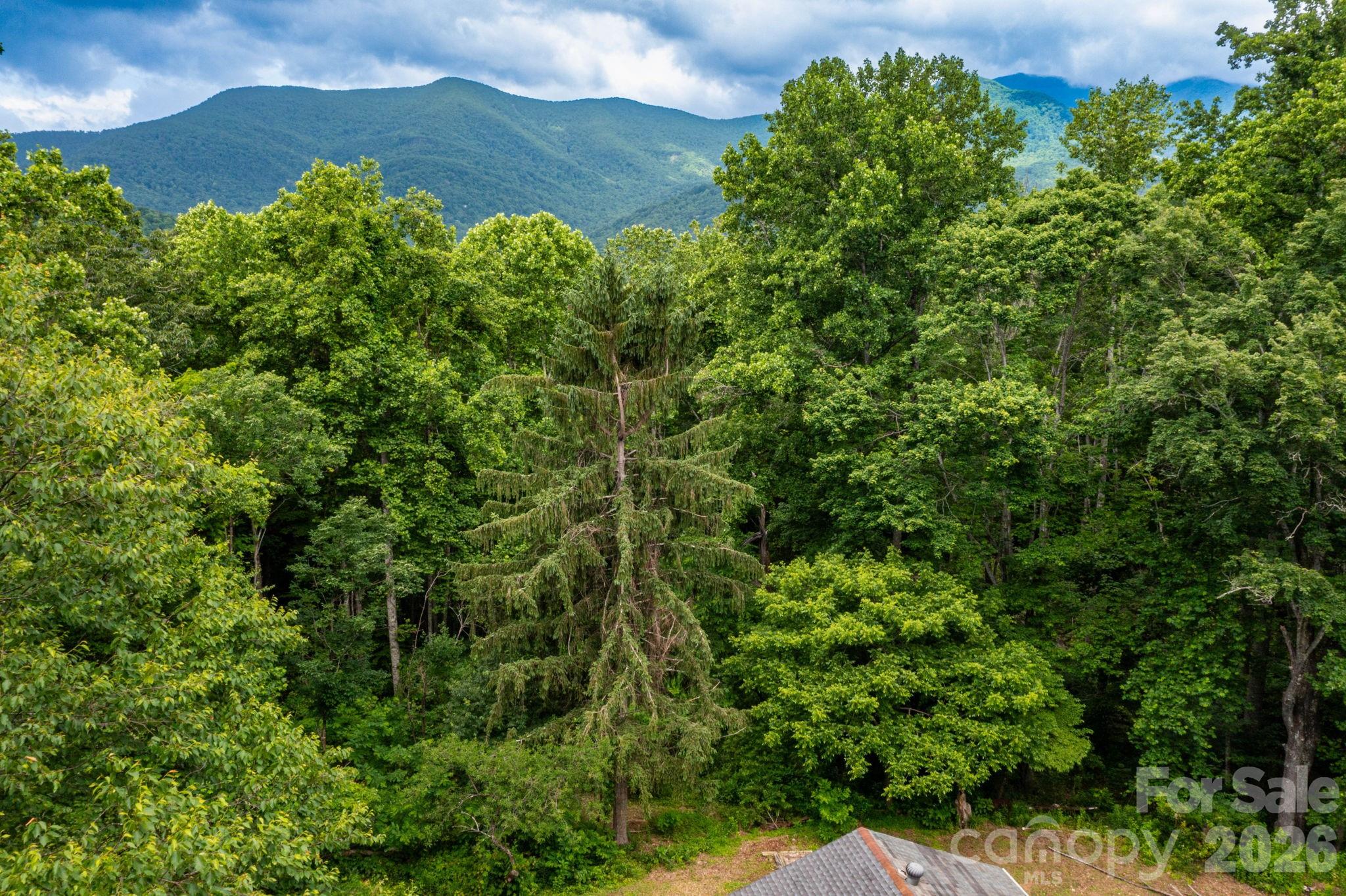 191 Walkertown Road Property Photo 3