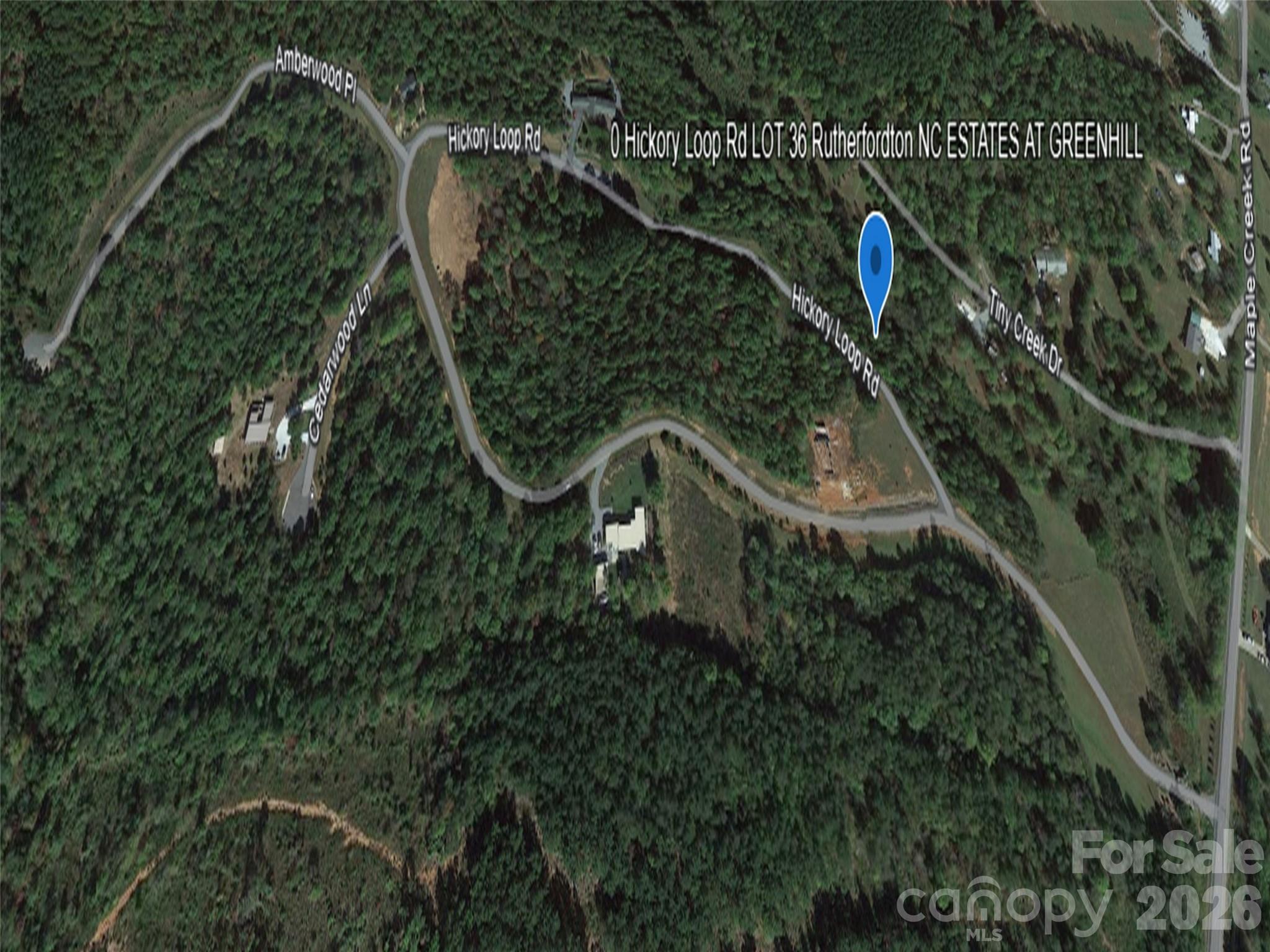 0 Hickory Loop Road Lot 36 Property Photo 6