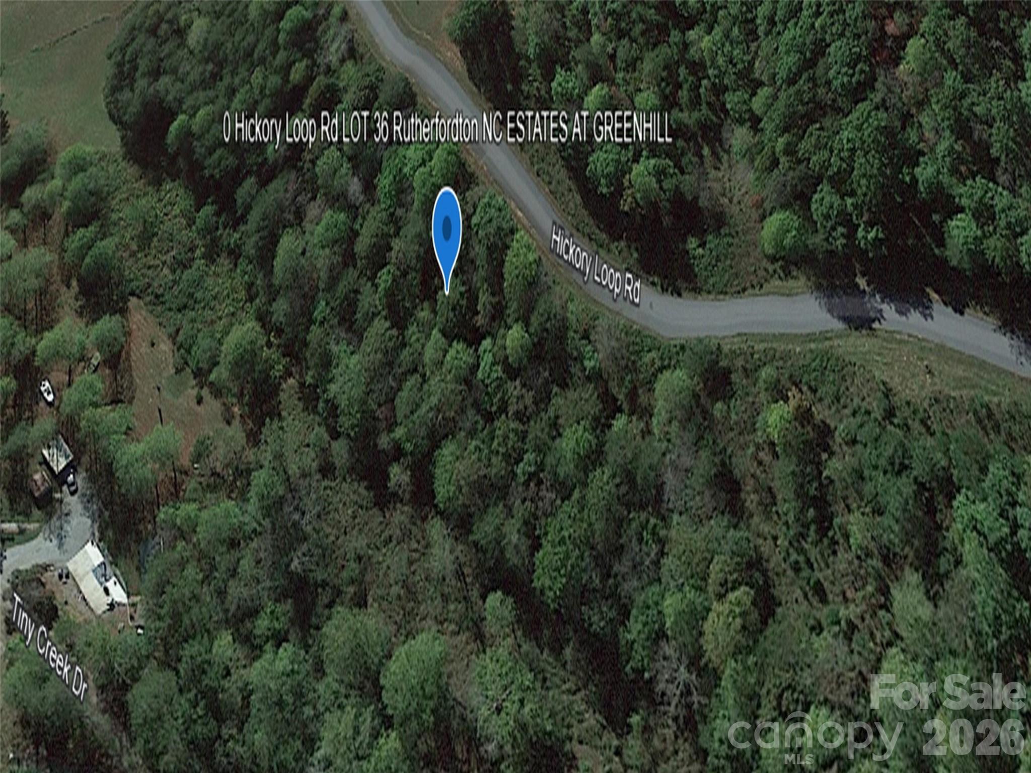 0 Hickory Loop Road Lot 36 Property Photo 8