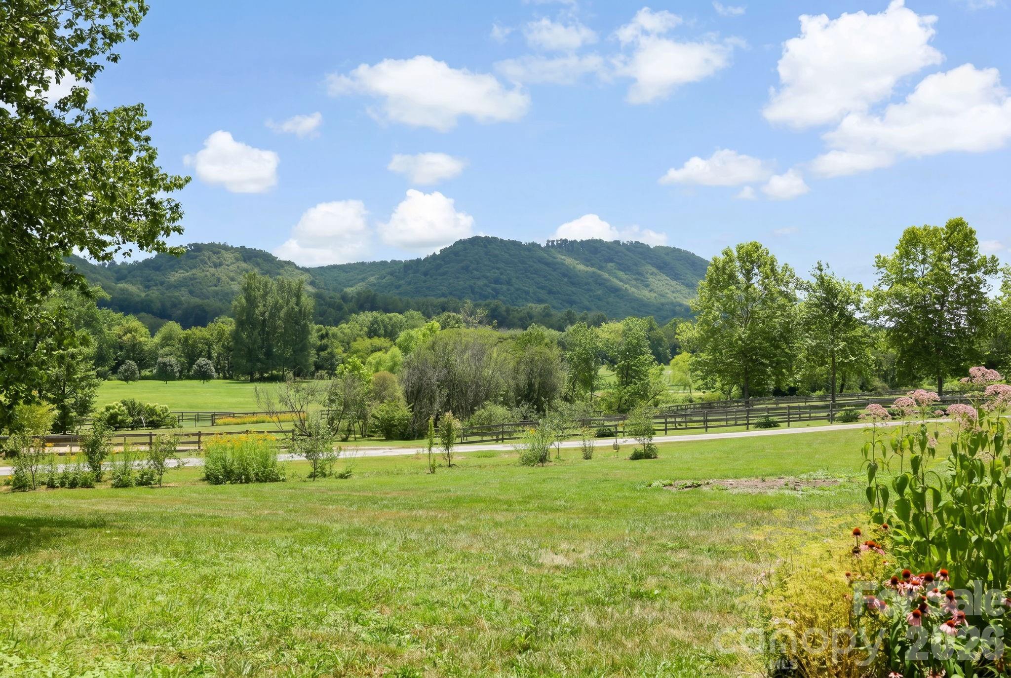 114 Cane Creek Ranch Drive Property Photo 23