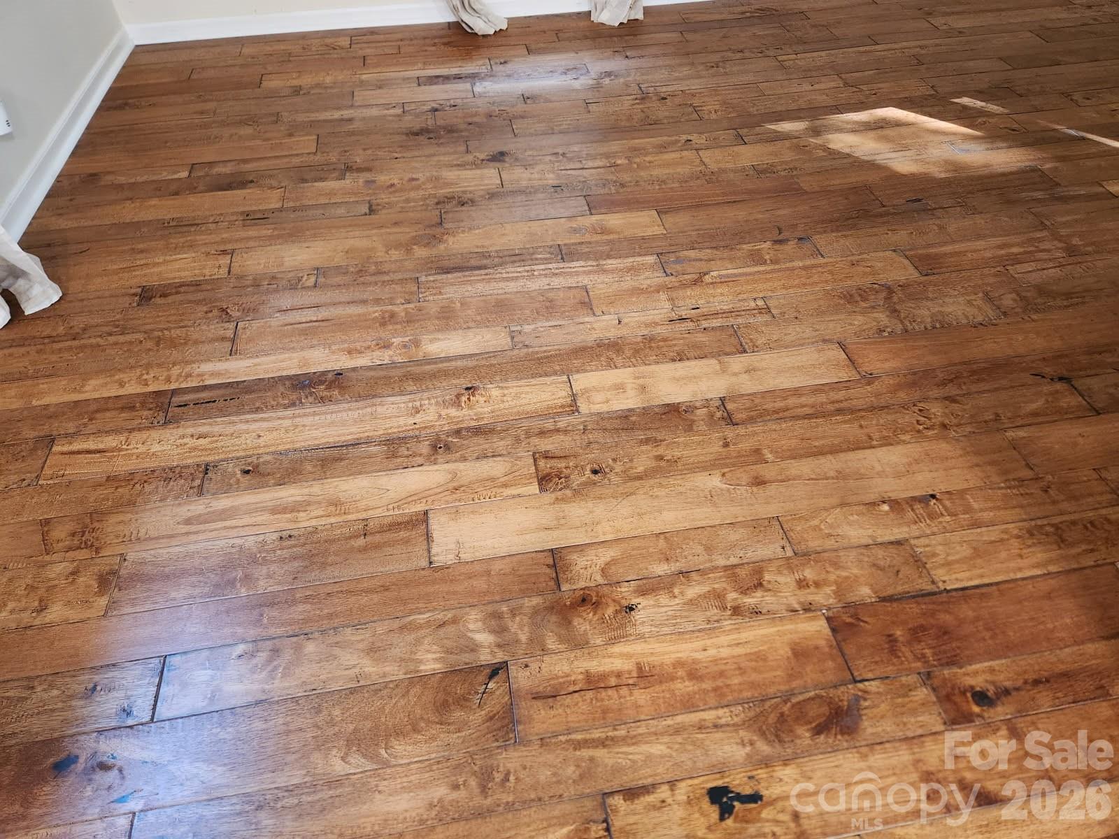 9325 Pinto Court Property Photo 6