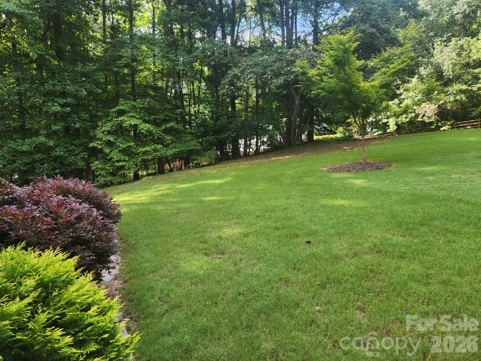 9325 Pinto Court Property Photo 14