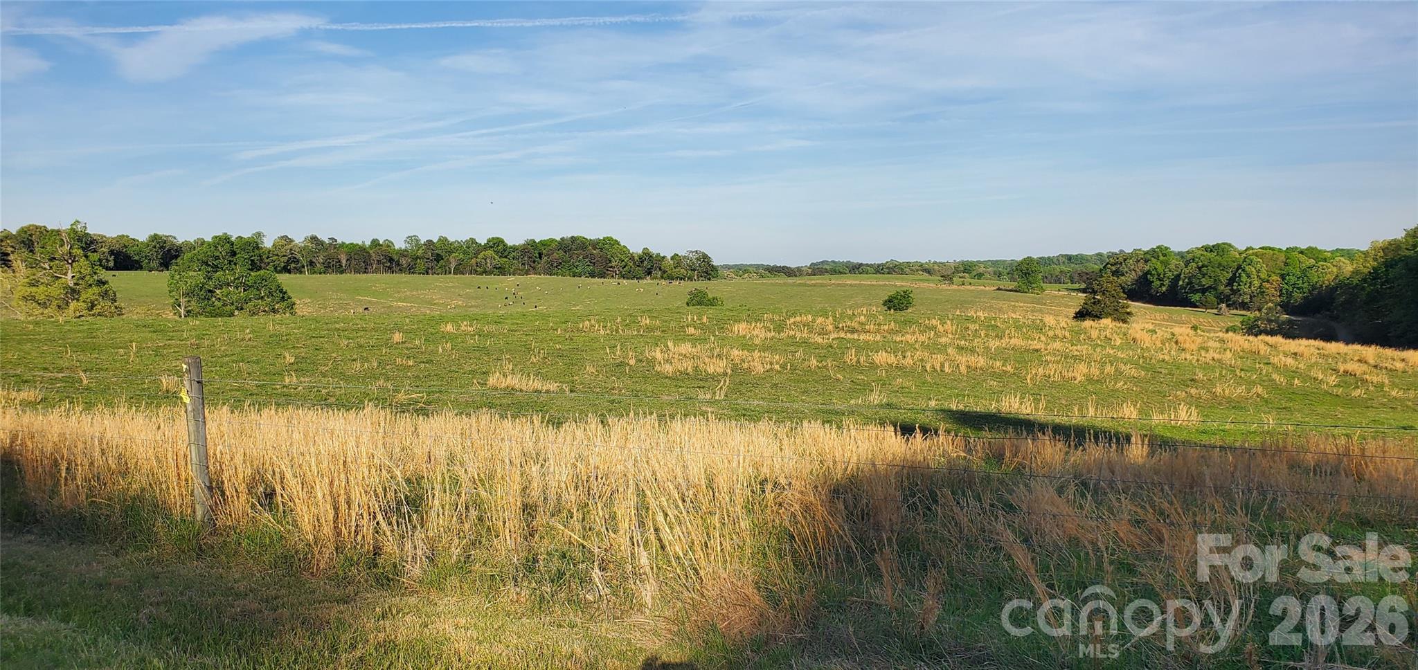 795 Elk Shoals Church Loop Property Photo 11