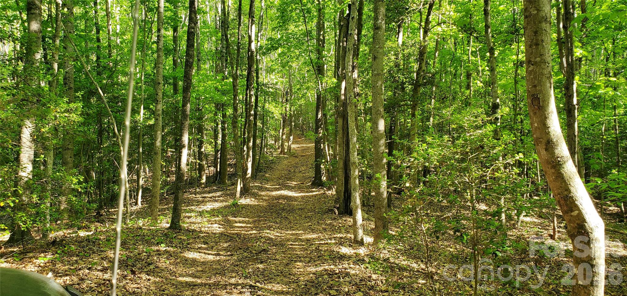 795 Elk Shoals Church Loop Property Photo 33
