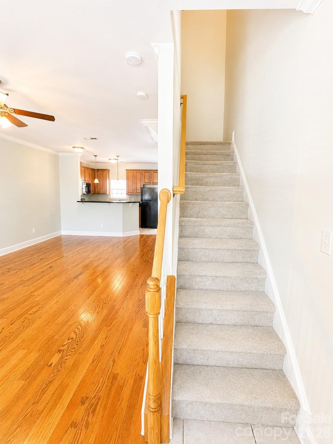 4376 Yoruk Forest Lane Property Photo 12