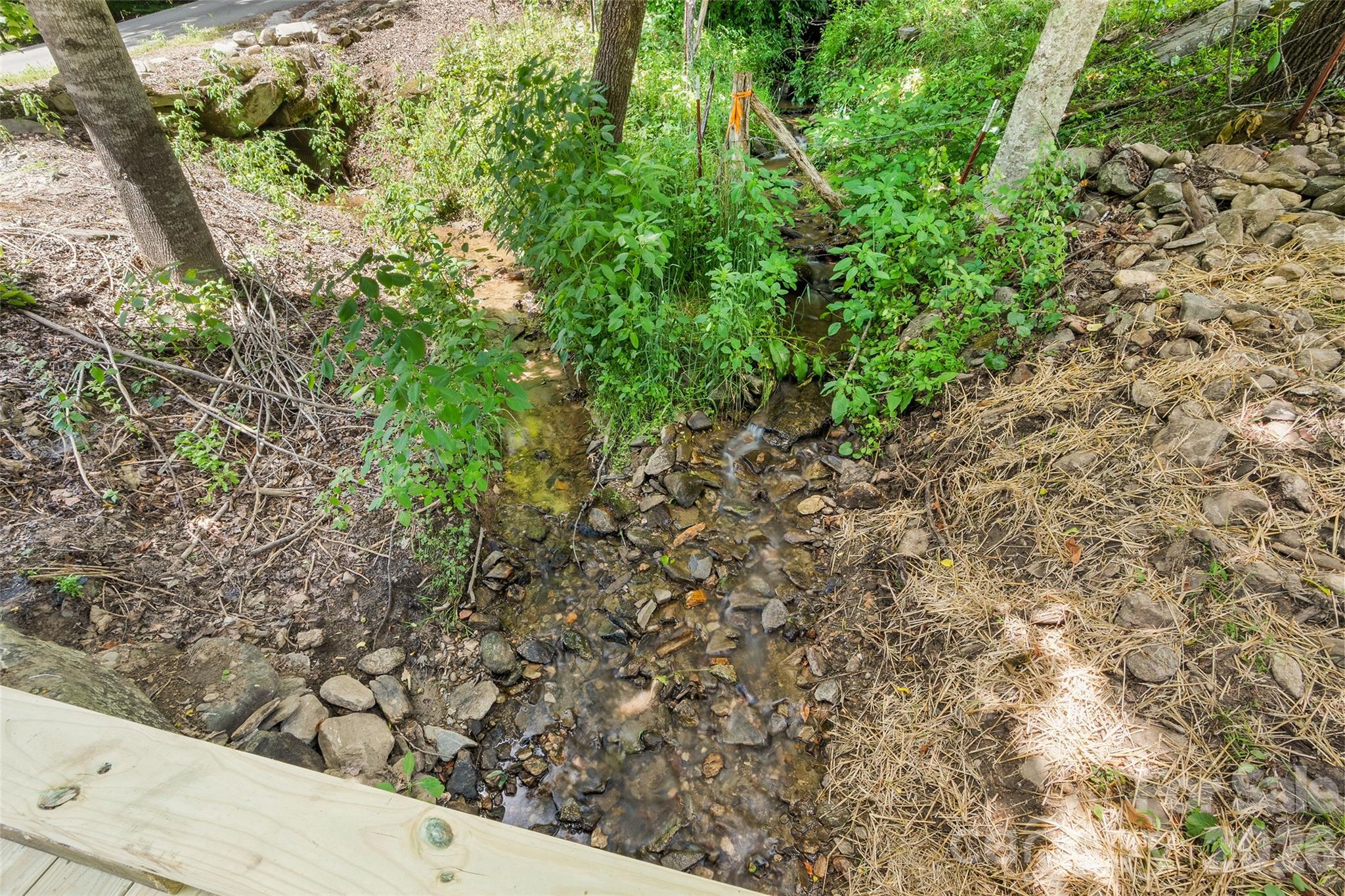 Tract 3 & 4 Badd Lane Property Photo 8