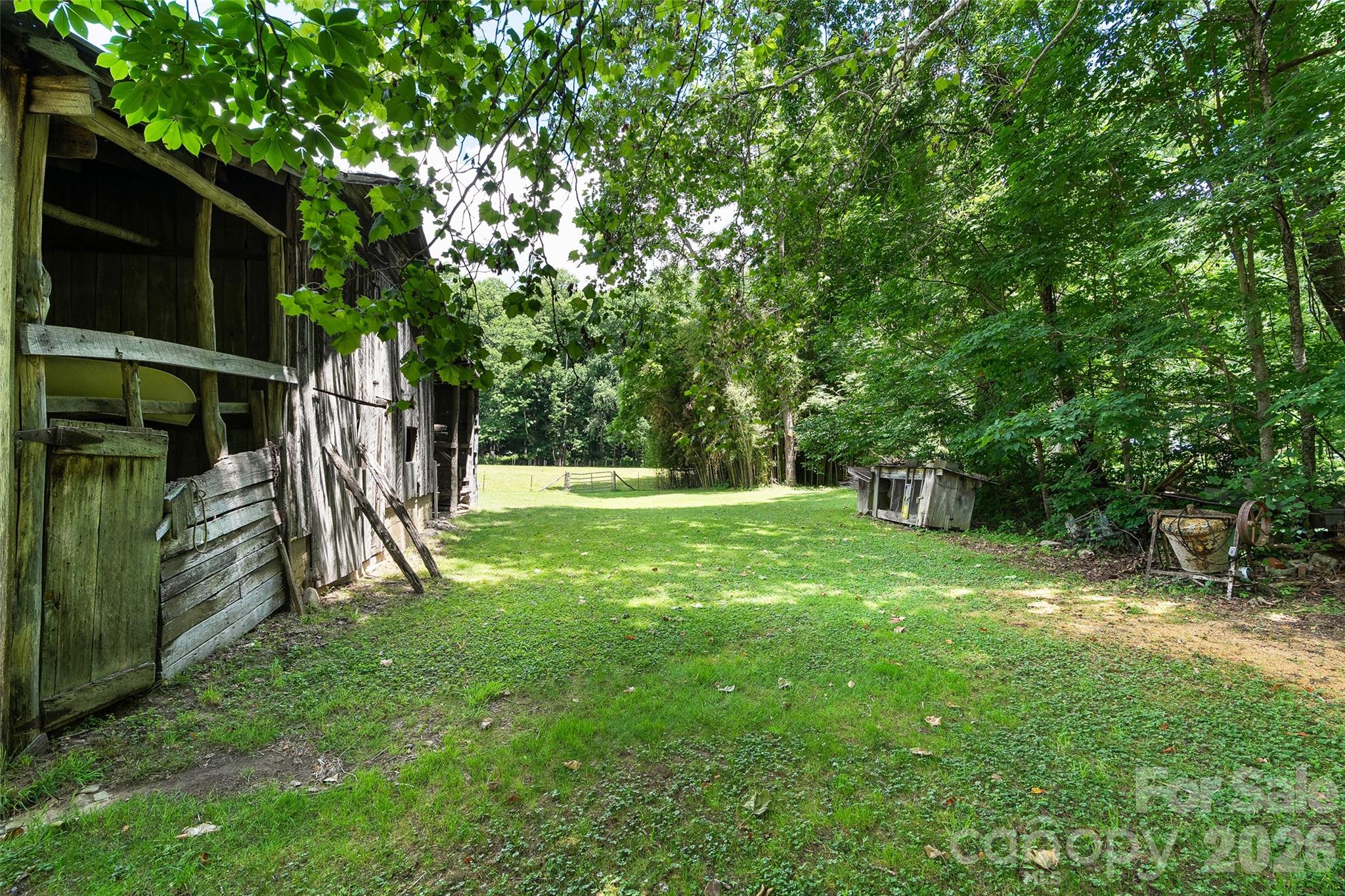 Tract 3 & 4 Badd Lane Property Photo 9