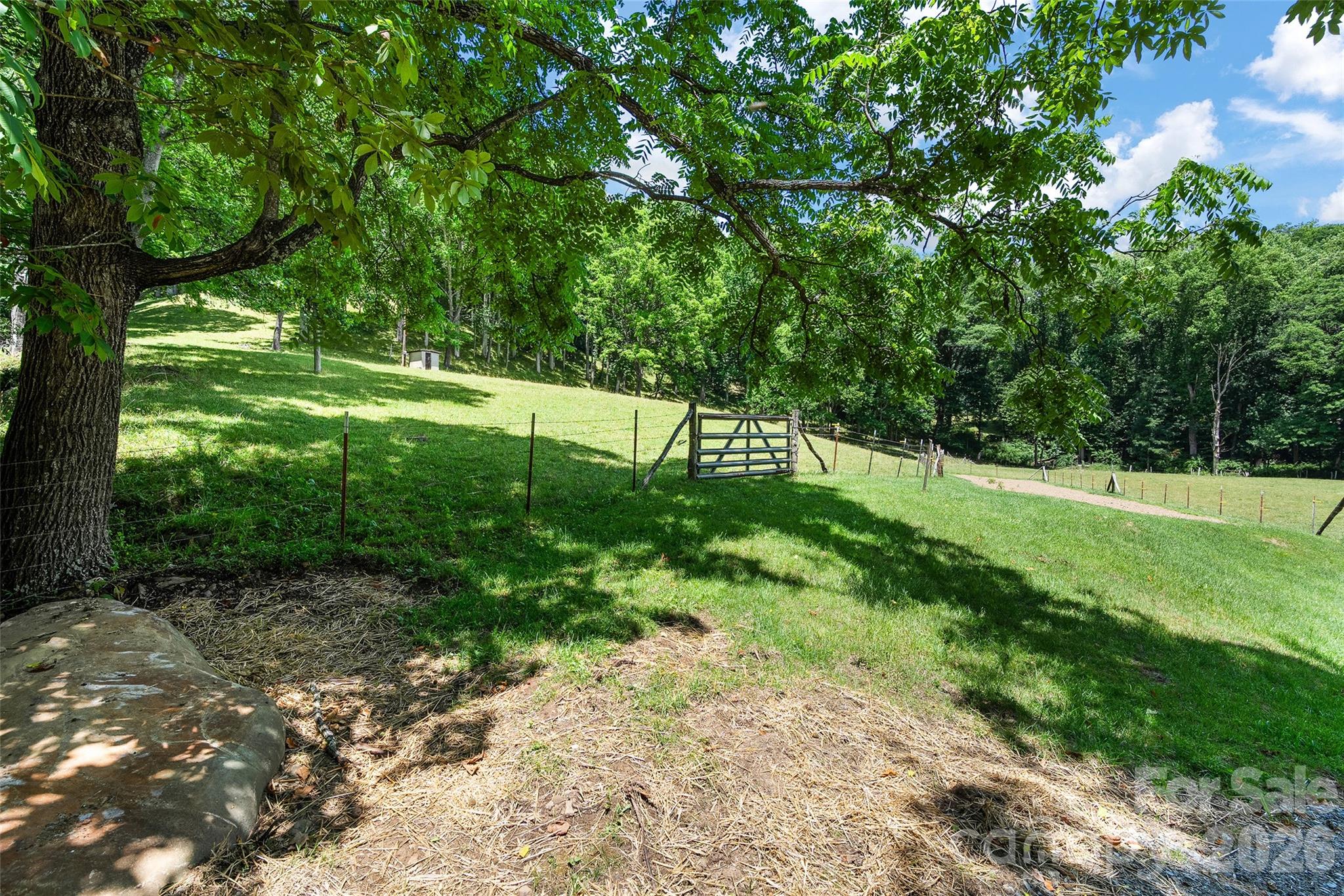 Tract 3 & 4 Badd Lane Property Photo 13