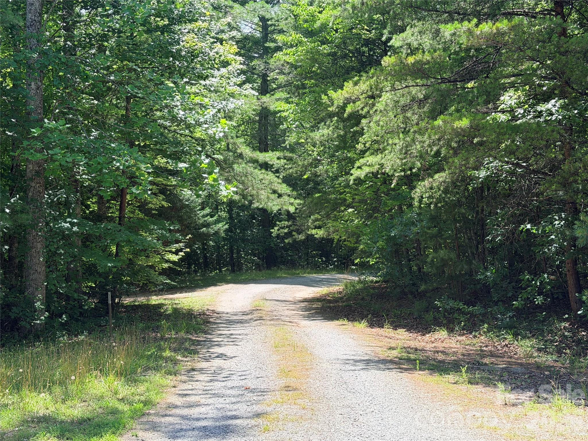 00 Grassy Knob Road 5 Property Photo 1