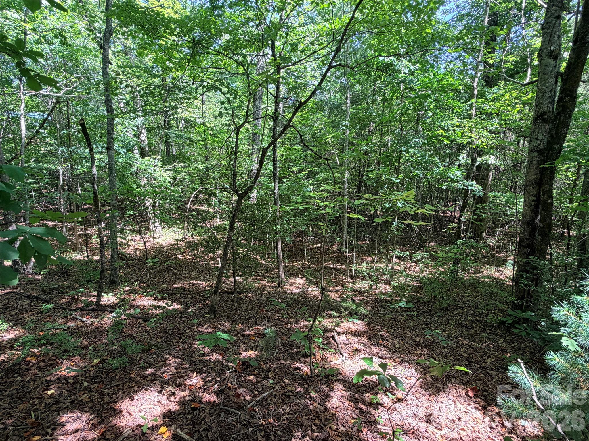 00 Grassy Knob Road 5 Property Photo 3