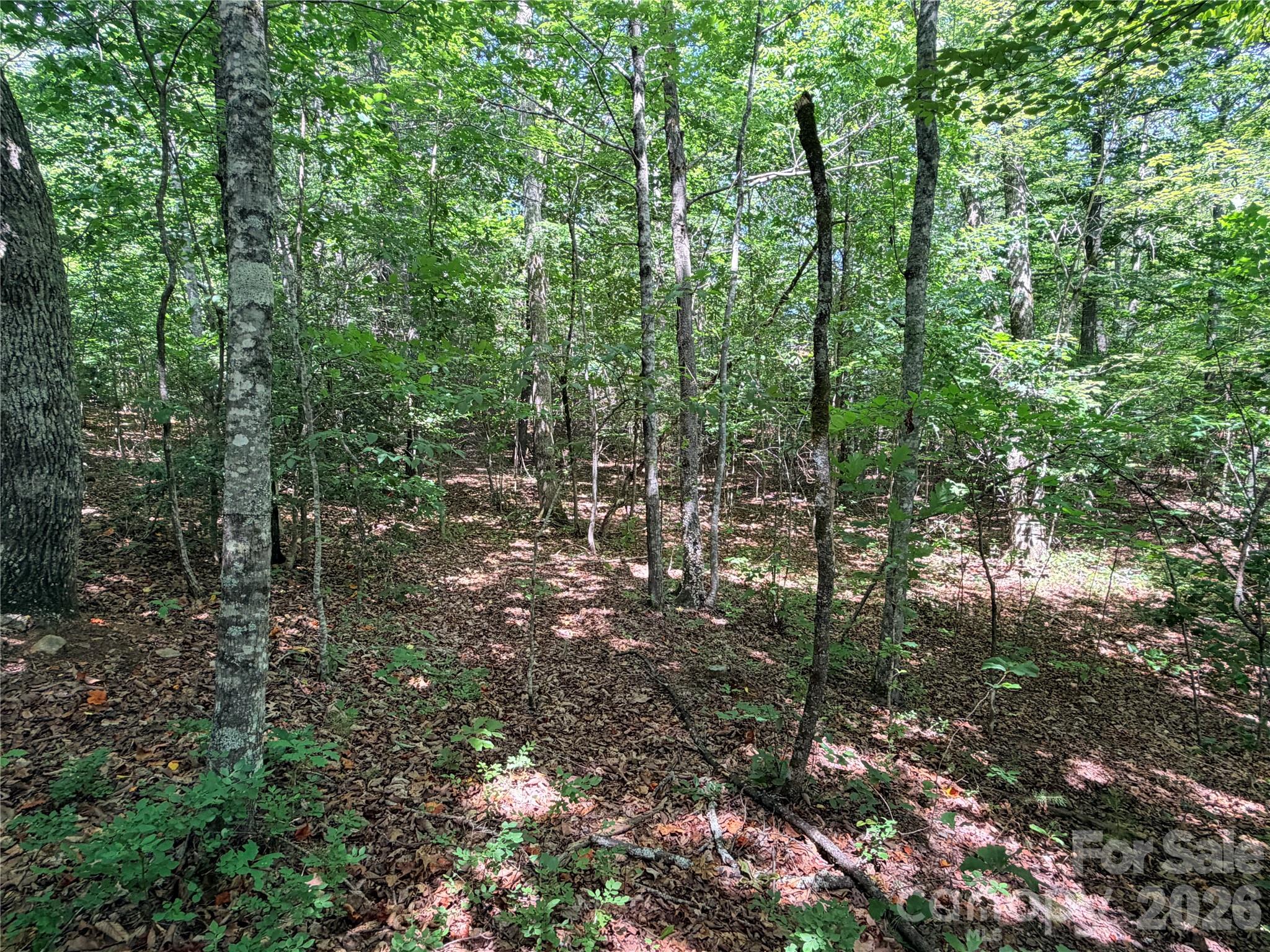 00 Grassy Knob Road 5 Property Photo 4