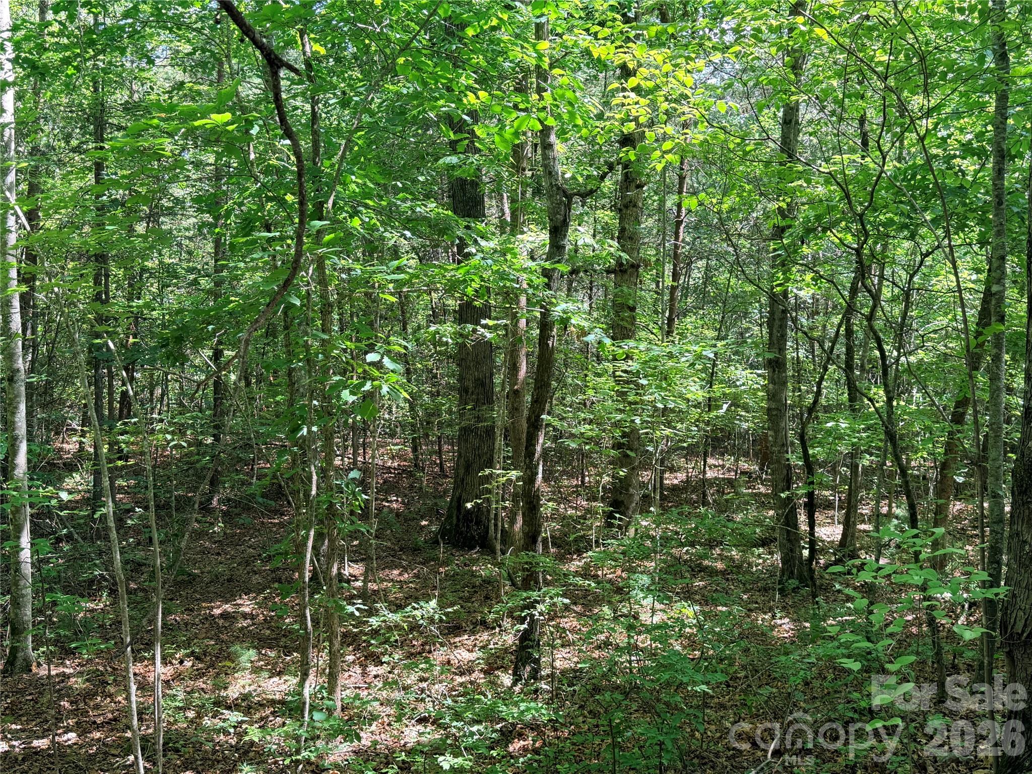 00 Grassy Knob Road 5 Property Photo 6