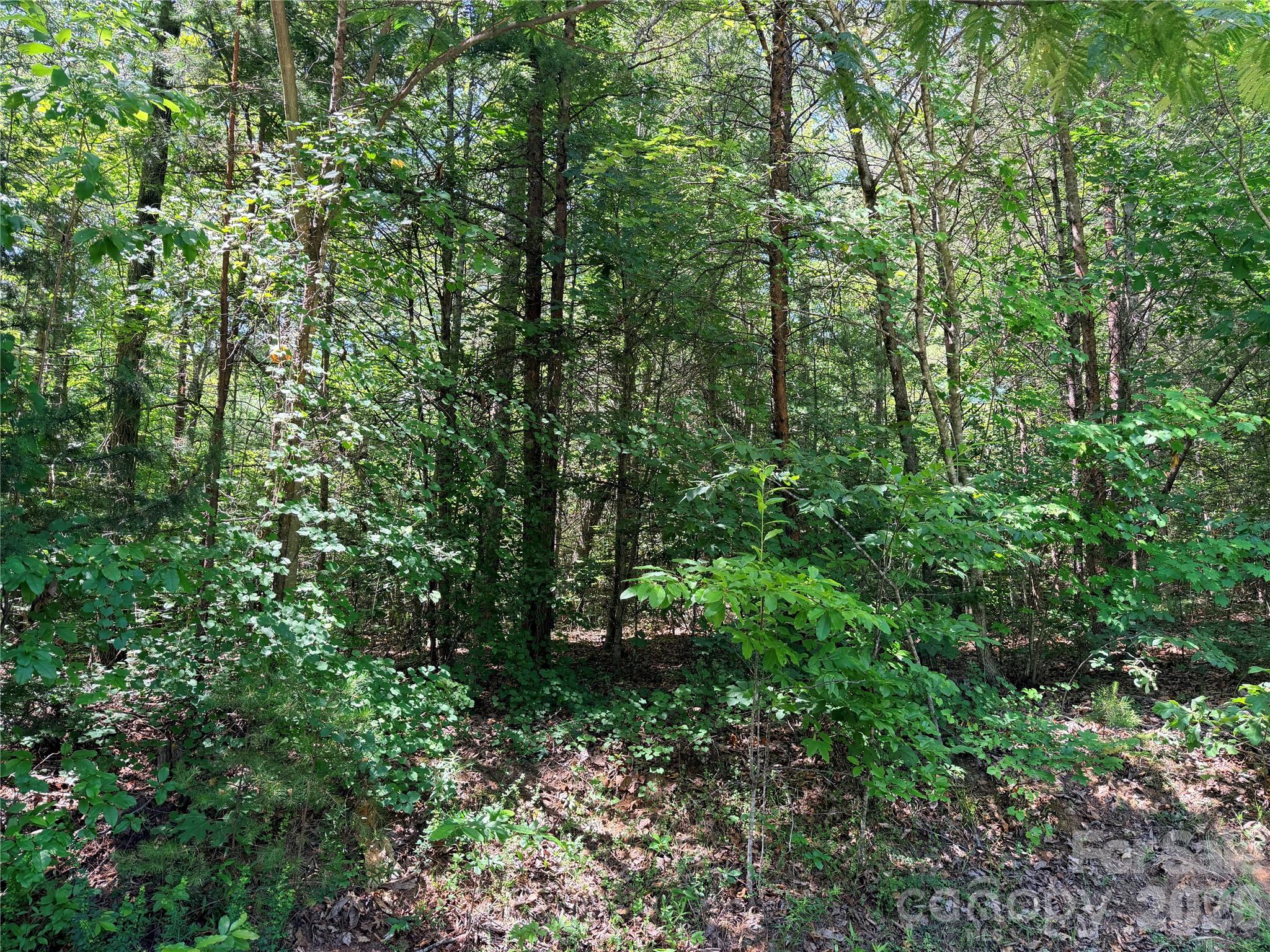 00 Grassy Knob Road 5 Property Photo 9