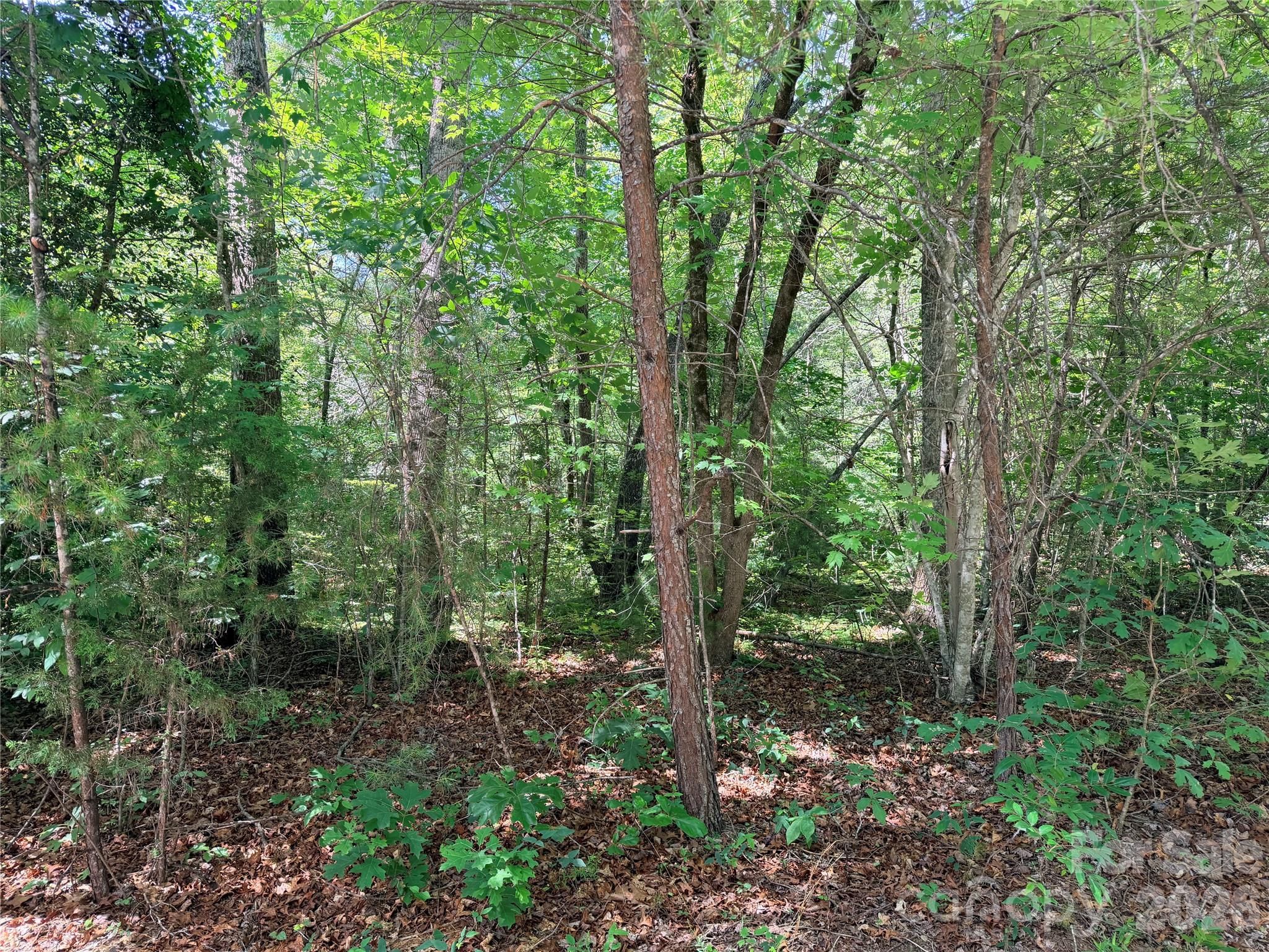 00 Grassy Knob Road 5 Property Photo 10