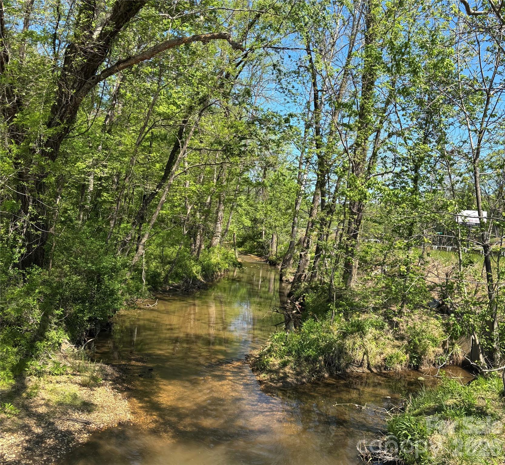4415 Hwy 221 Highway Property Photo 10