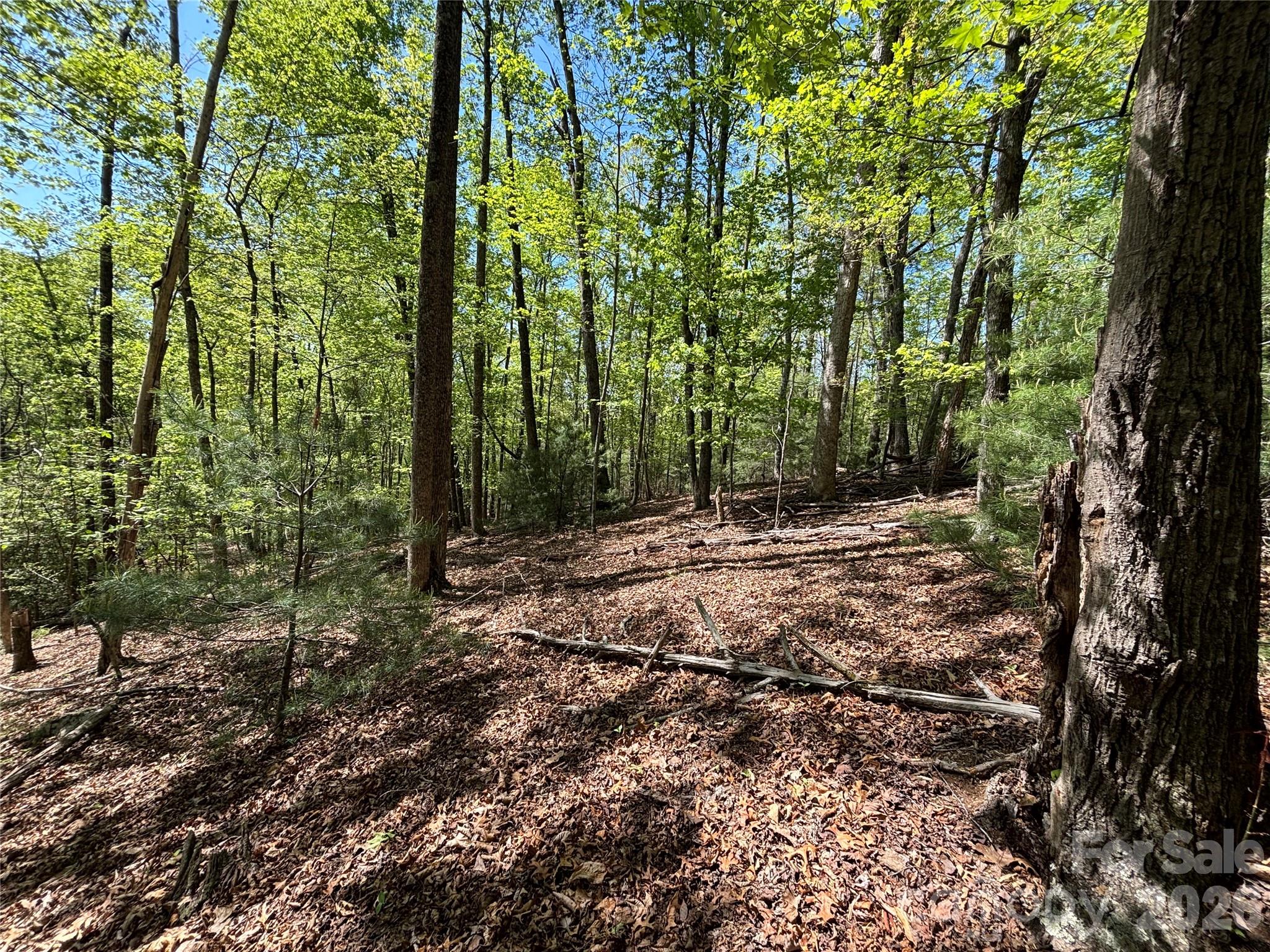 4415 Hwy 221 Highway Property Photo 12