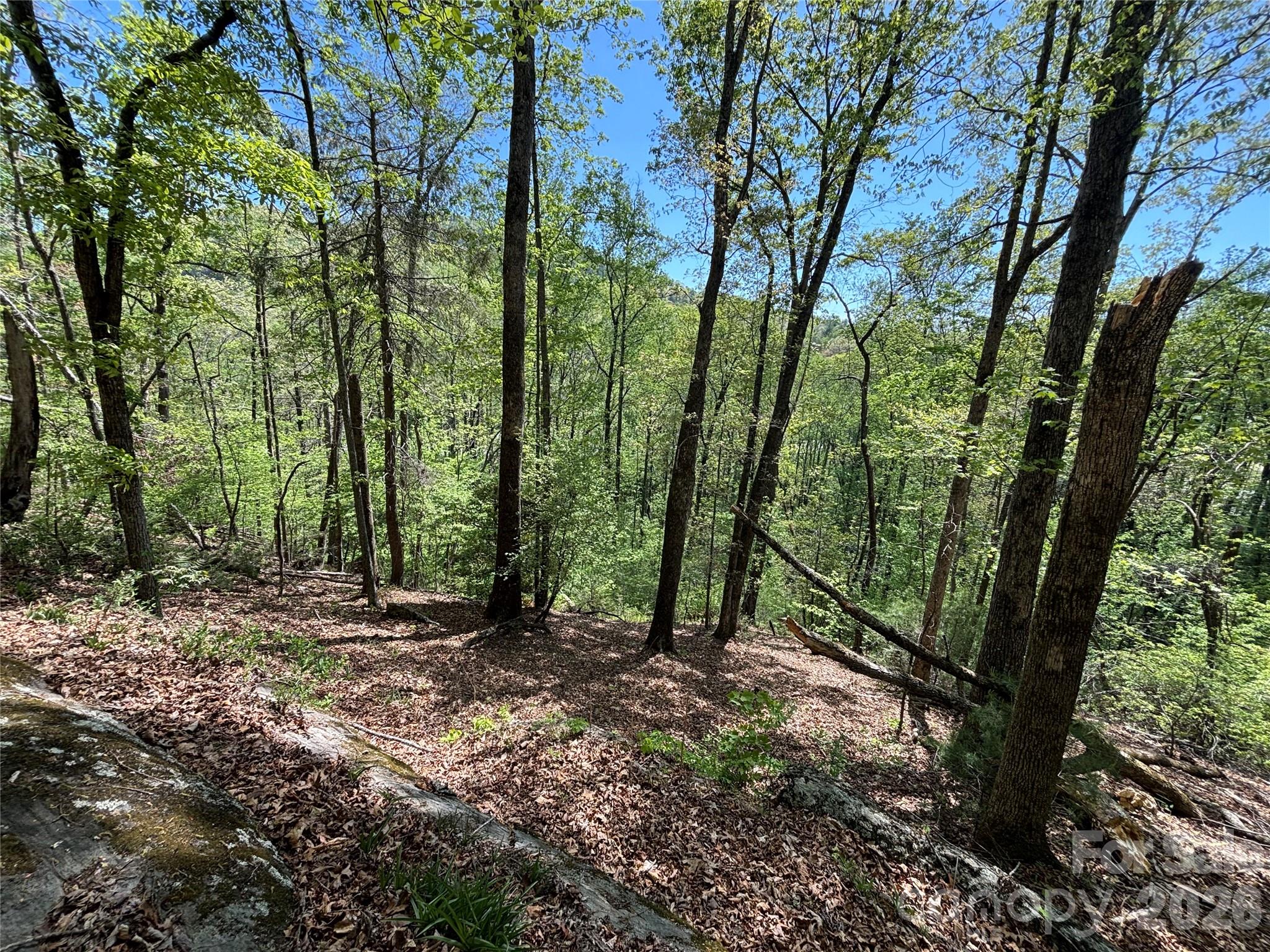 4415 Hwy 221 Highway Property Photo 13