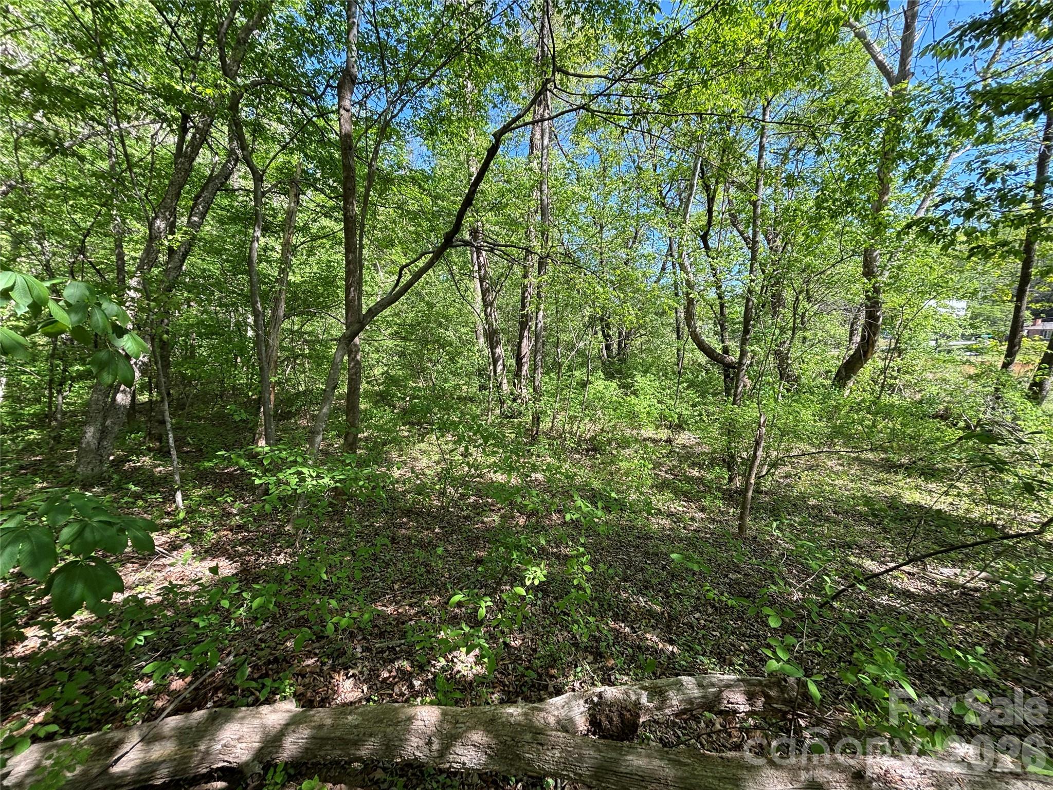 4415 Hwy 221 Highway Property Photo 14