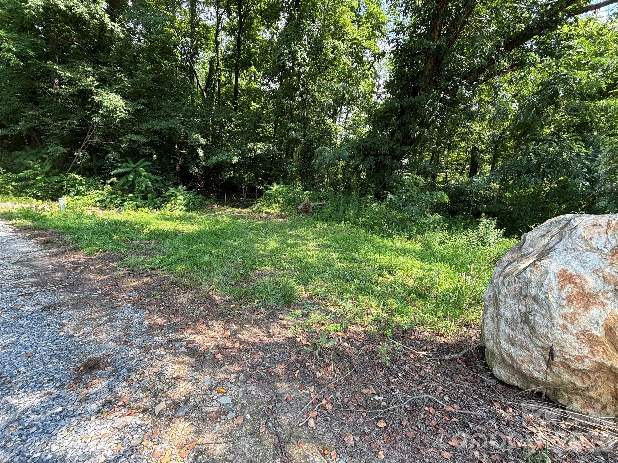 4415 Hwy 221 Highway Property Photo 17
