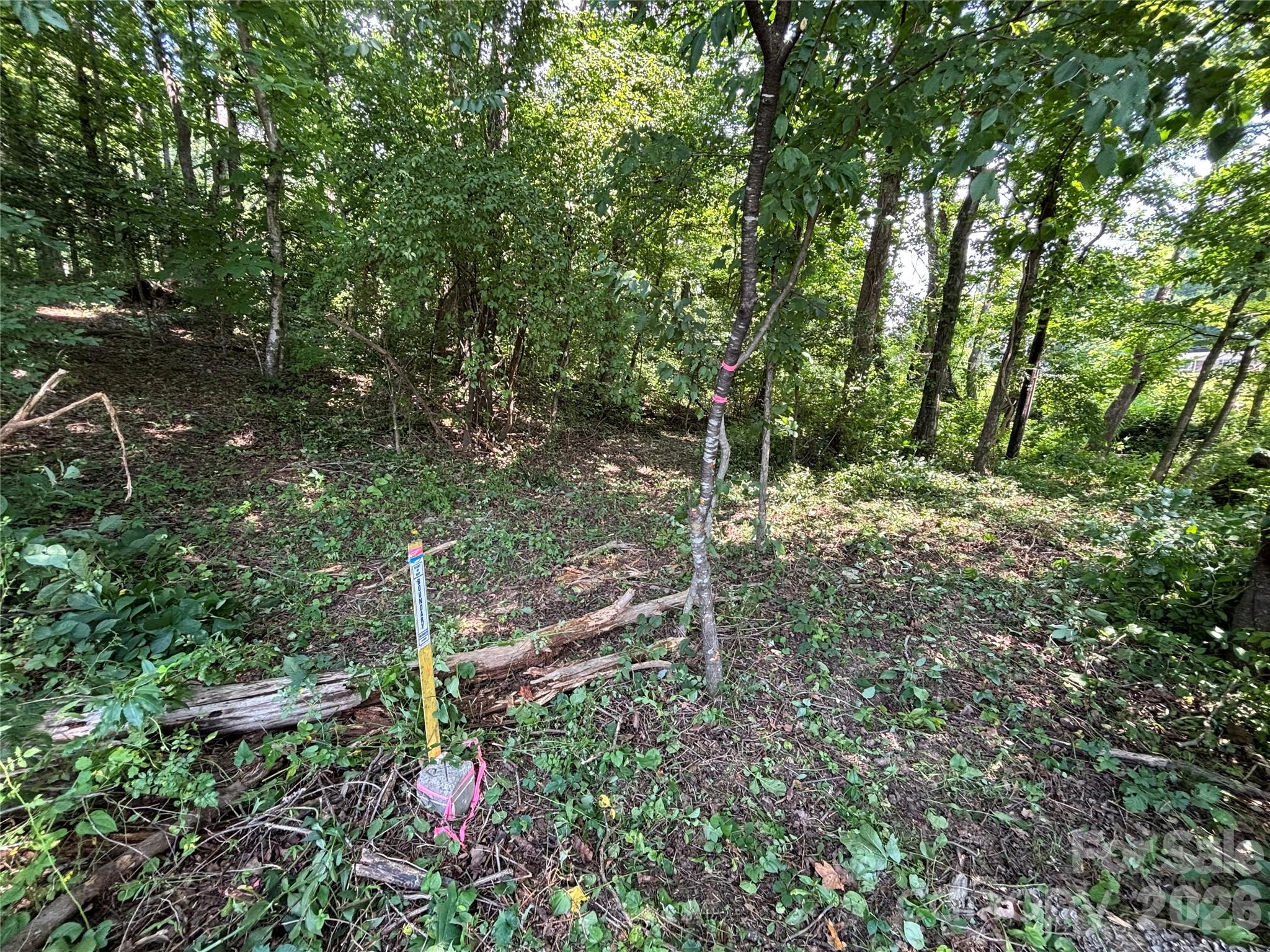 4415 Hwy 221 Highway Property Photo 18