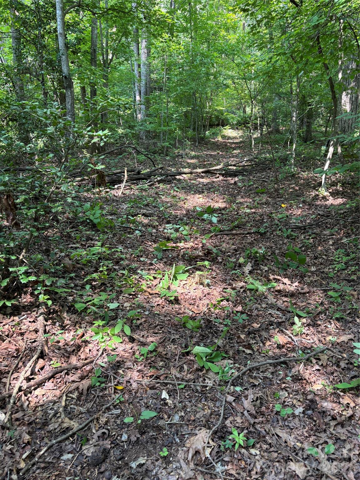 4415 Hwy 221 Highway Property Photo 20