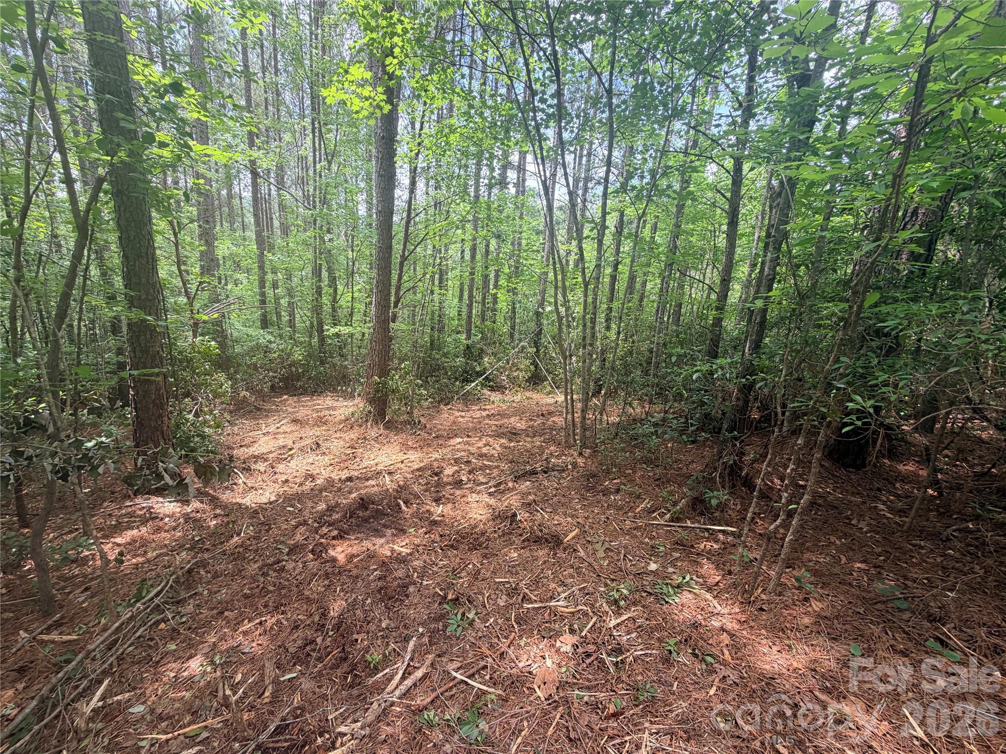 0 Gold Creek Point 4 Property Photo 1