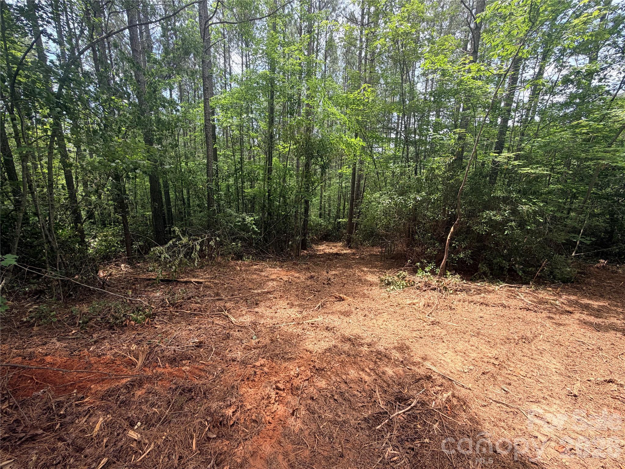 0 Gold Creek Point 4 Property Photo 2