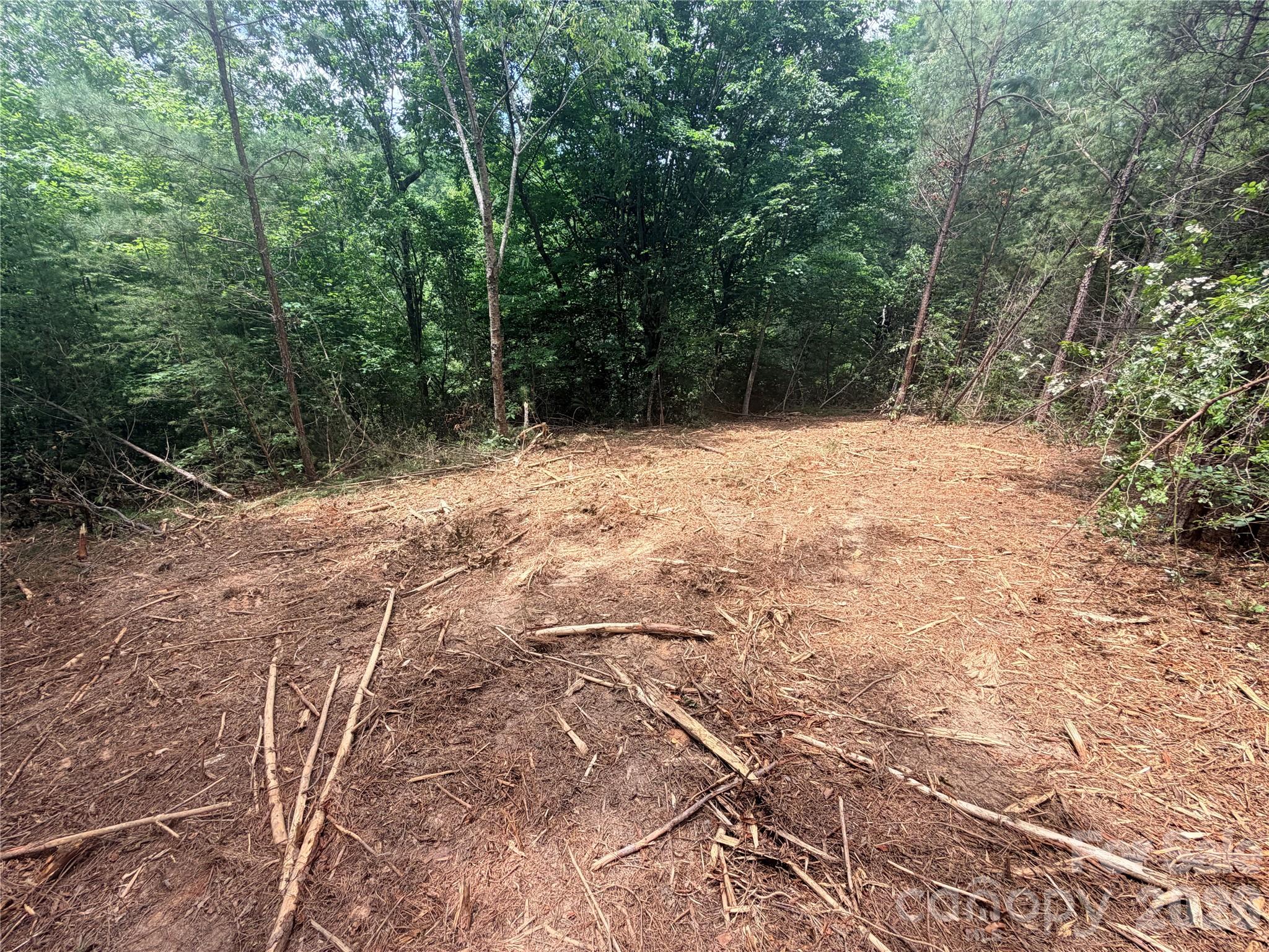 0 Gold Creek Point 4 Property Photo 5