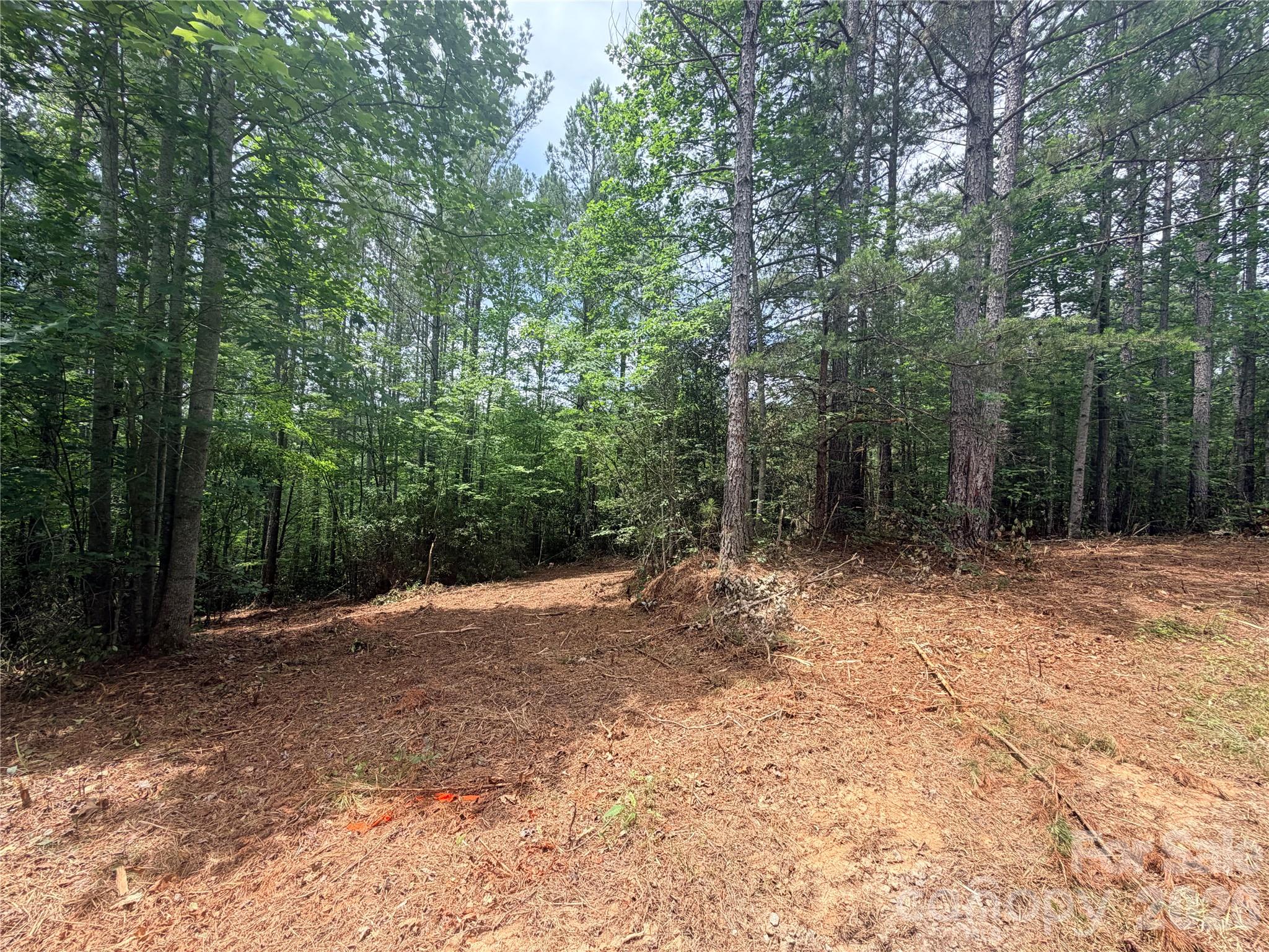 0 Gold Creek Point 4 Property Photo 8