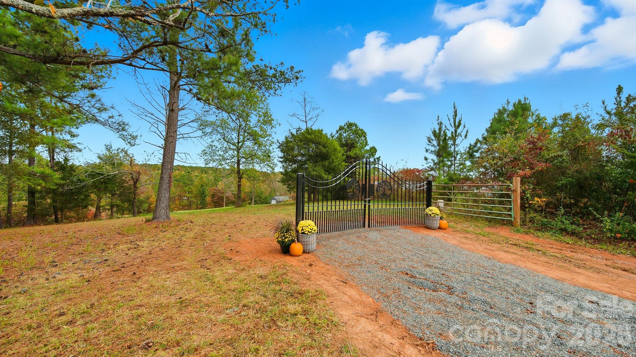 5411 Icard Ridge Road Property Photo 3