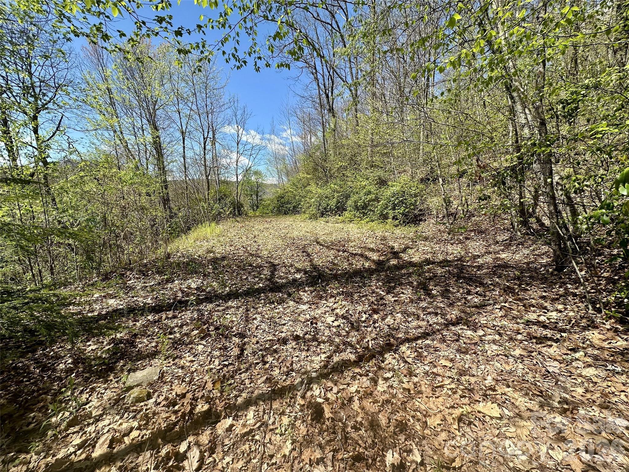 00 Aquina Mountain Mountain H Property Photo 3