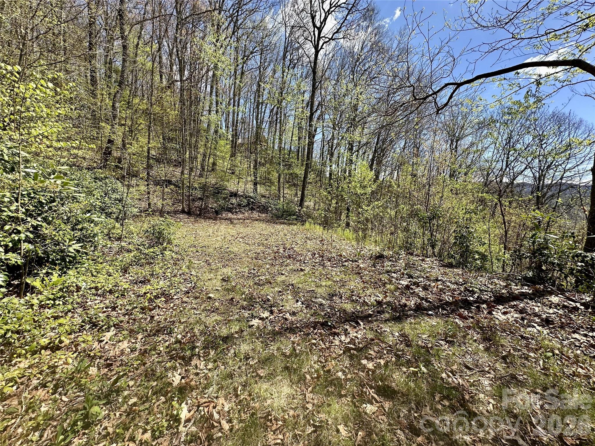 00 Aquina Mountain Mountain H Property Photo 4
