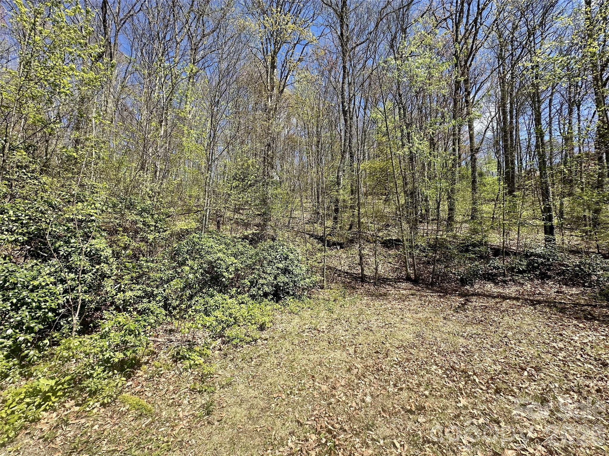 00 Aquina Mountain Mountain H Property Photo 5