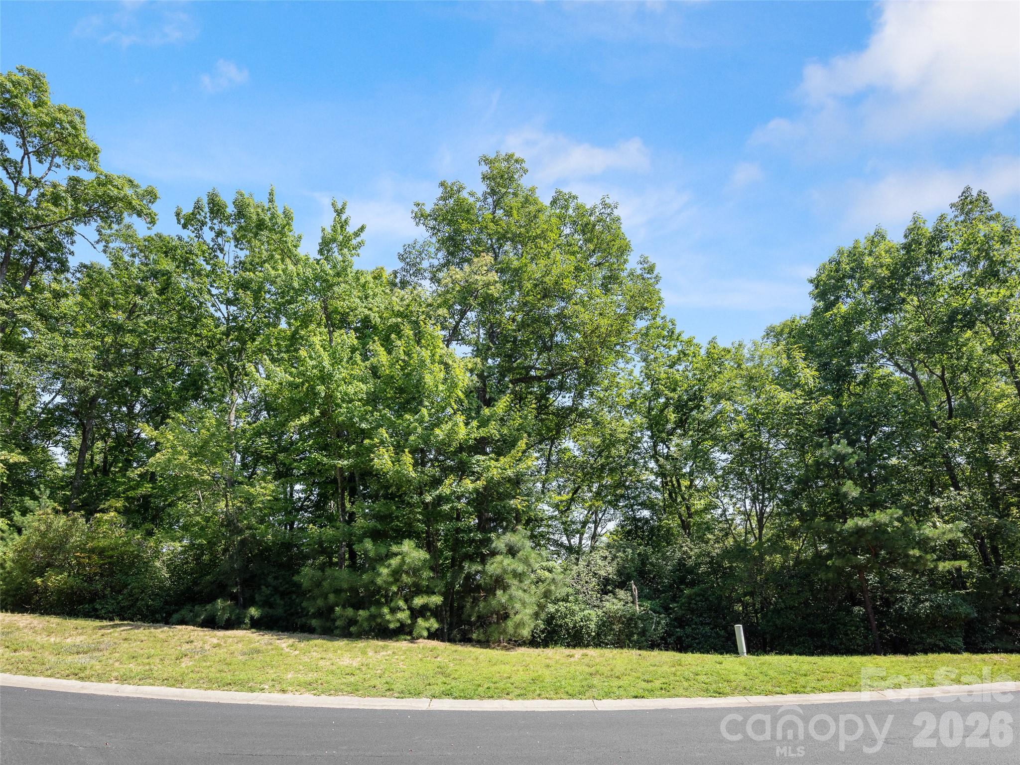99999 Shining Rock Path 69 Property Photo 1
