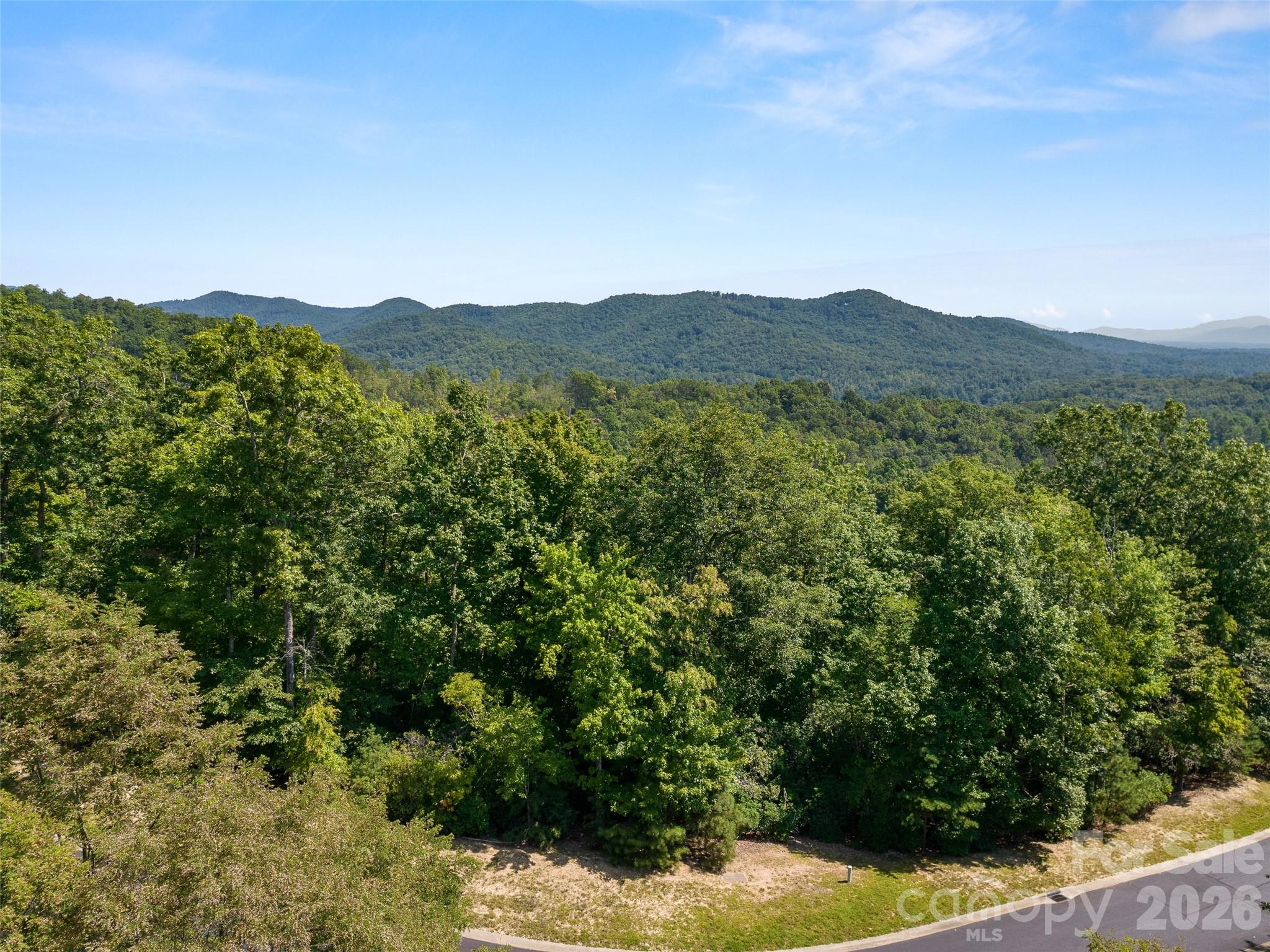 99999 Shining Rock Path 69 Property Photo 3