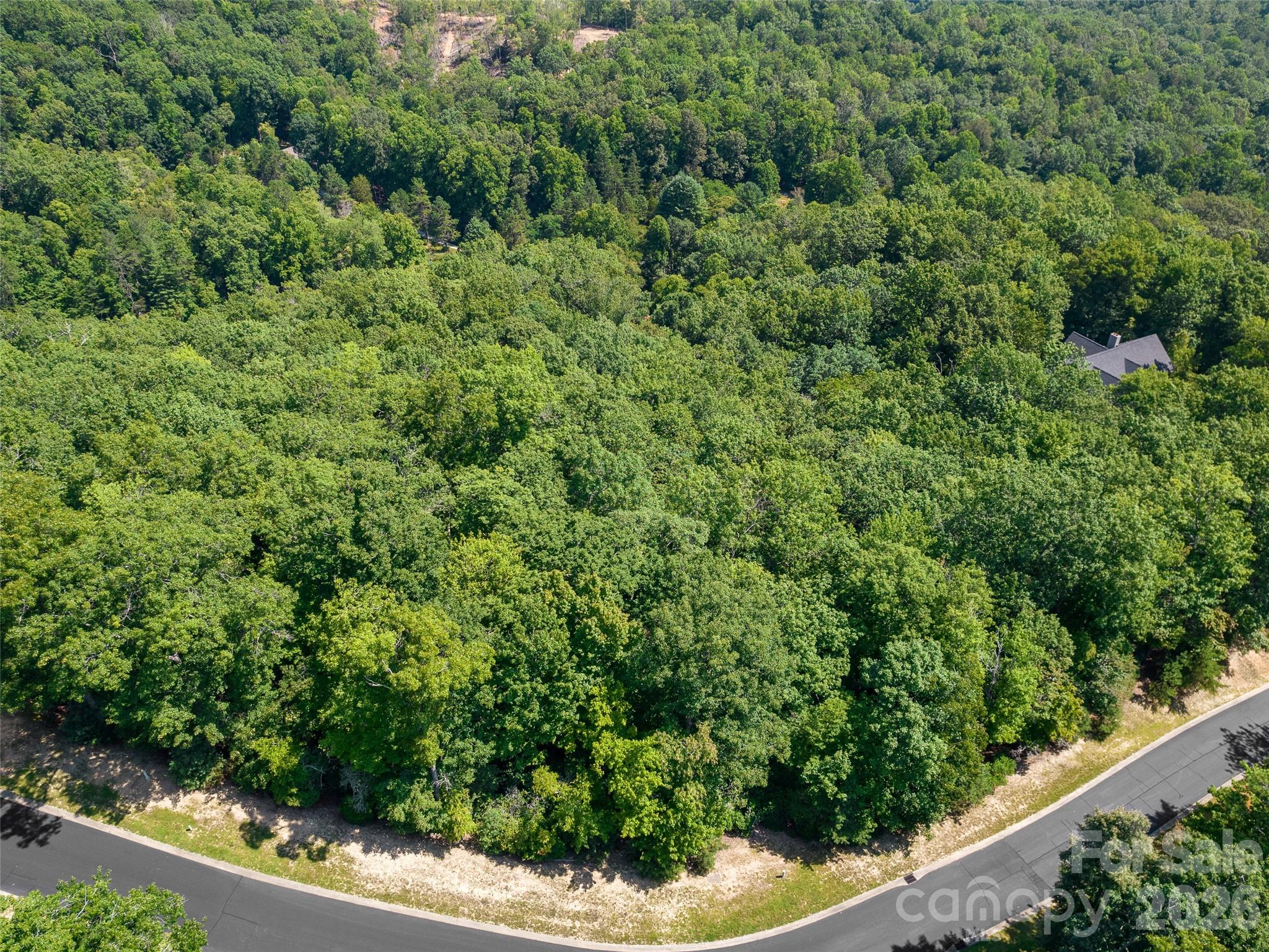 99999 Shining Rock Path 69 Property Photo 4