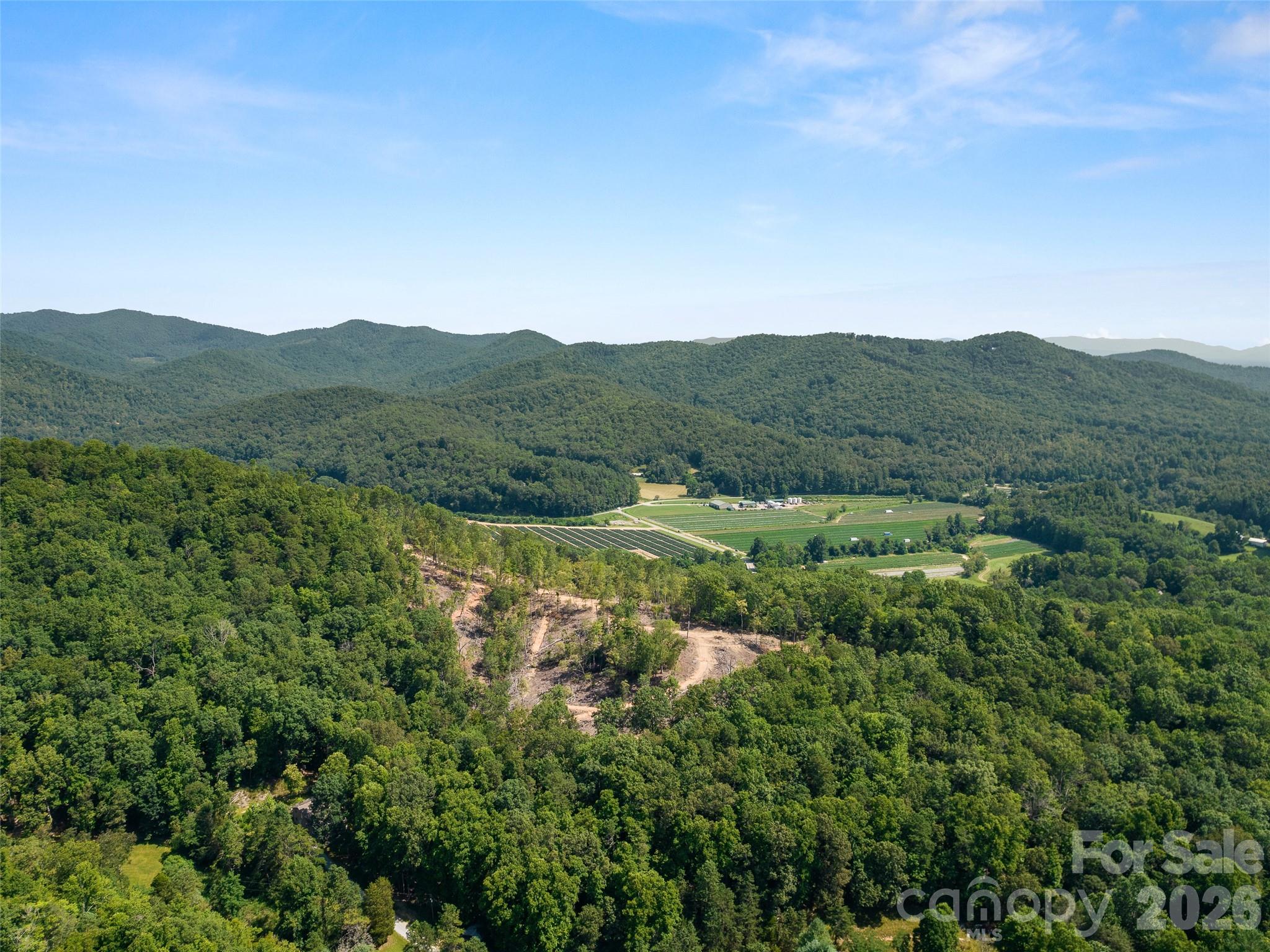 99999 Shining Rock Path 69 Property Photo 5