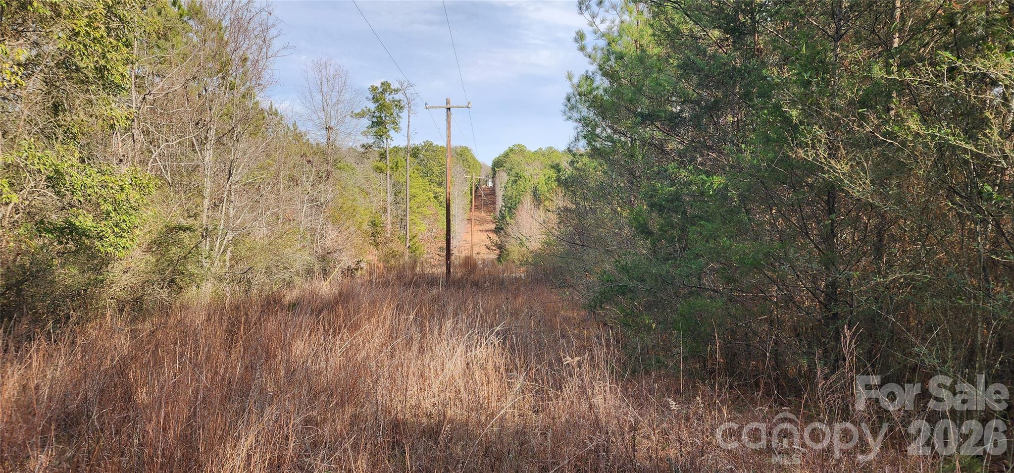 1413 Old Columbia Road Property Photo 18