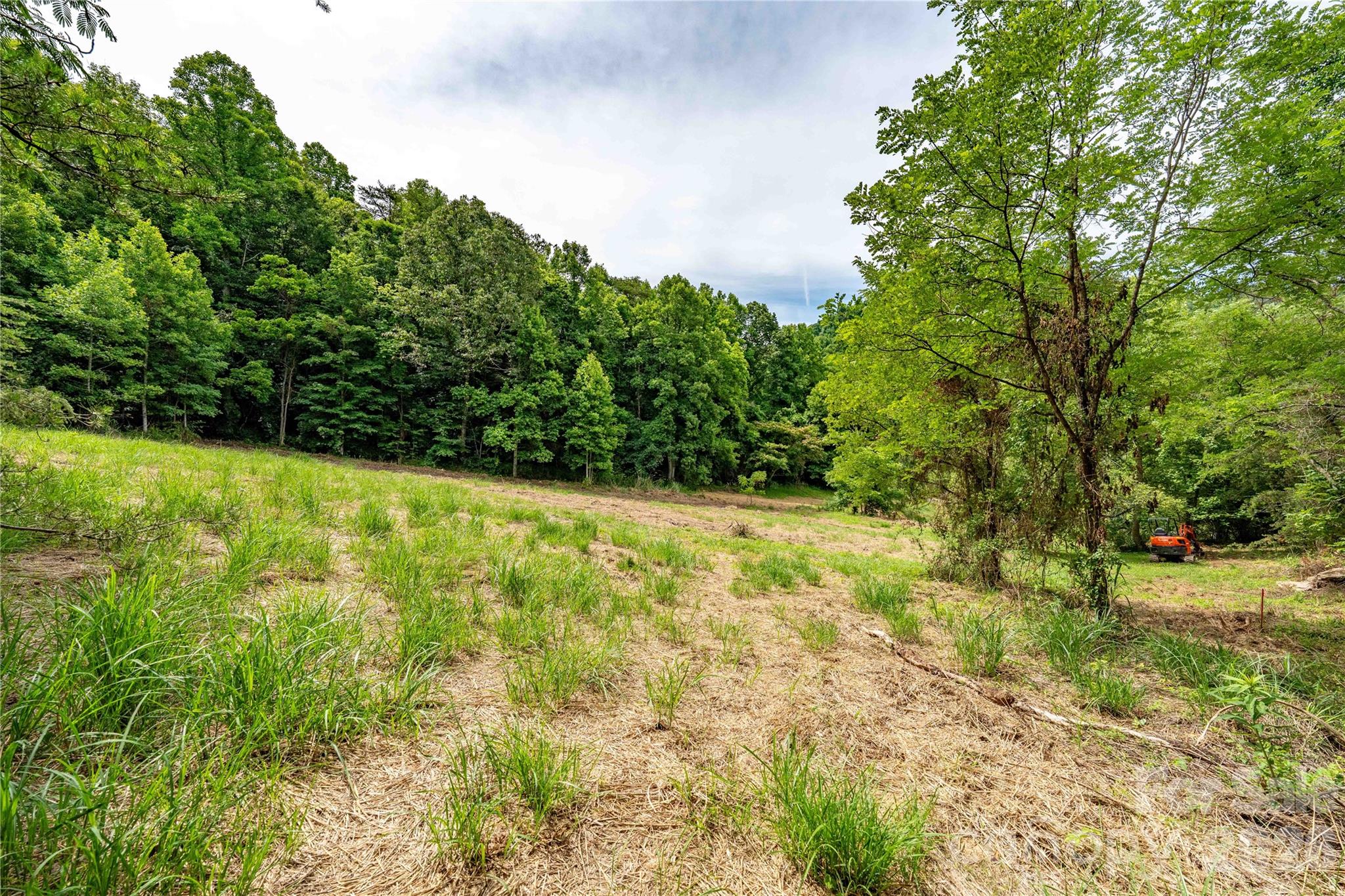 9999 Morgan Branch Road Property Photo 4