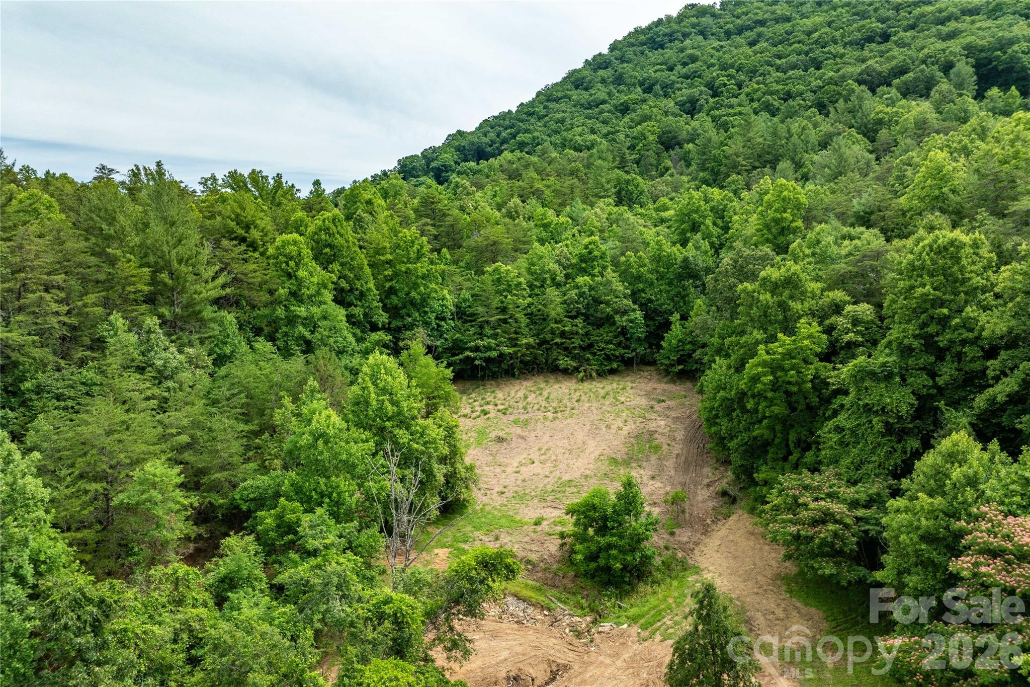 9999 Morgan Branch Road Property Photo 6