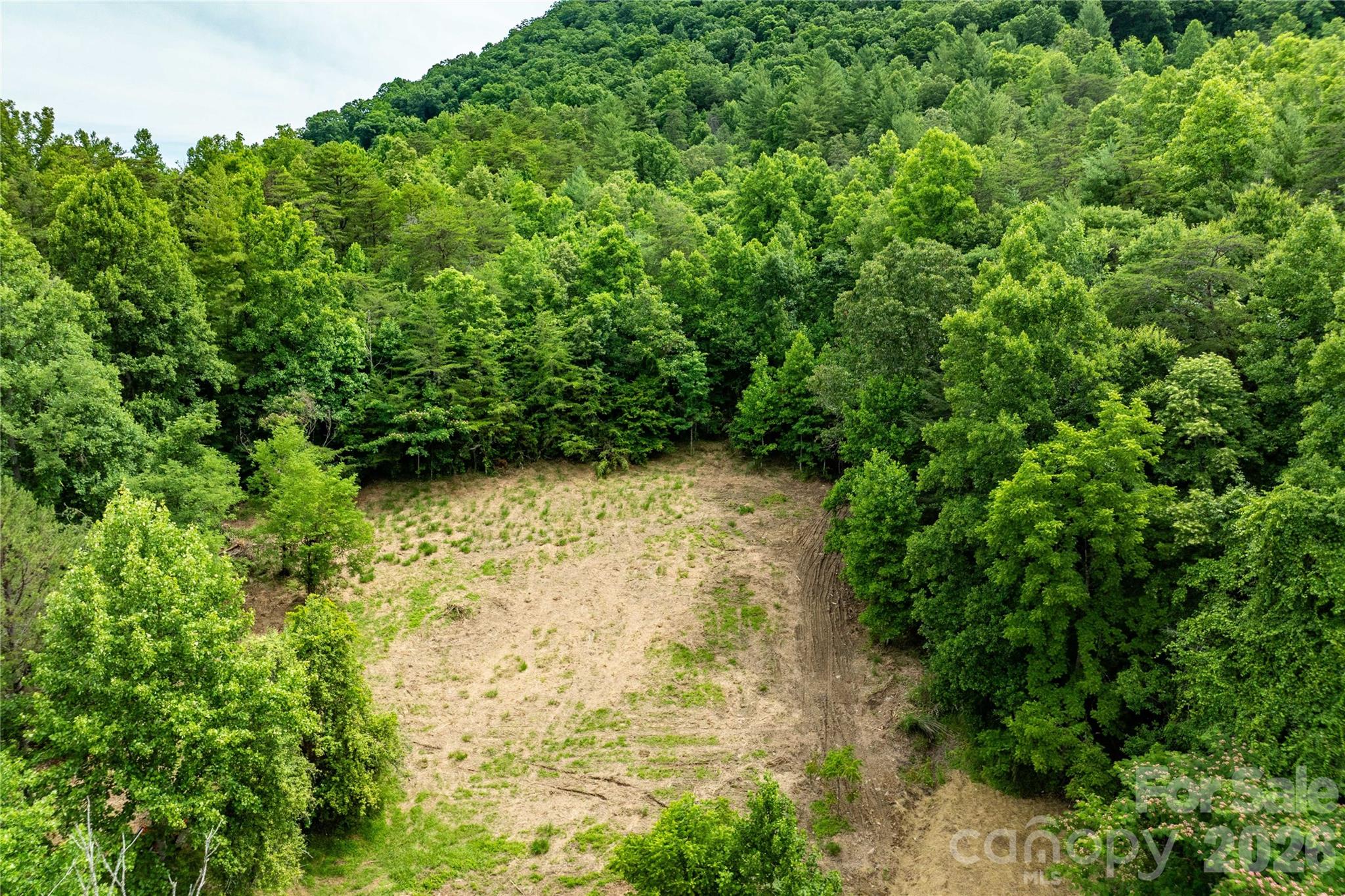 9999 Morgan Branch Road Property Photo 7