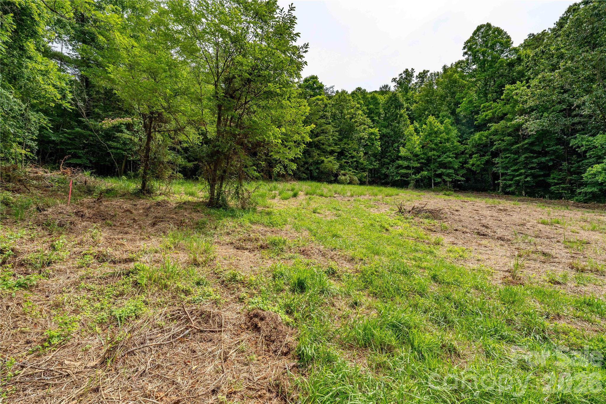 9999 Morgan Branch Road Property Photo 10