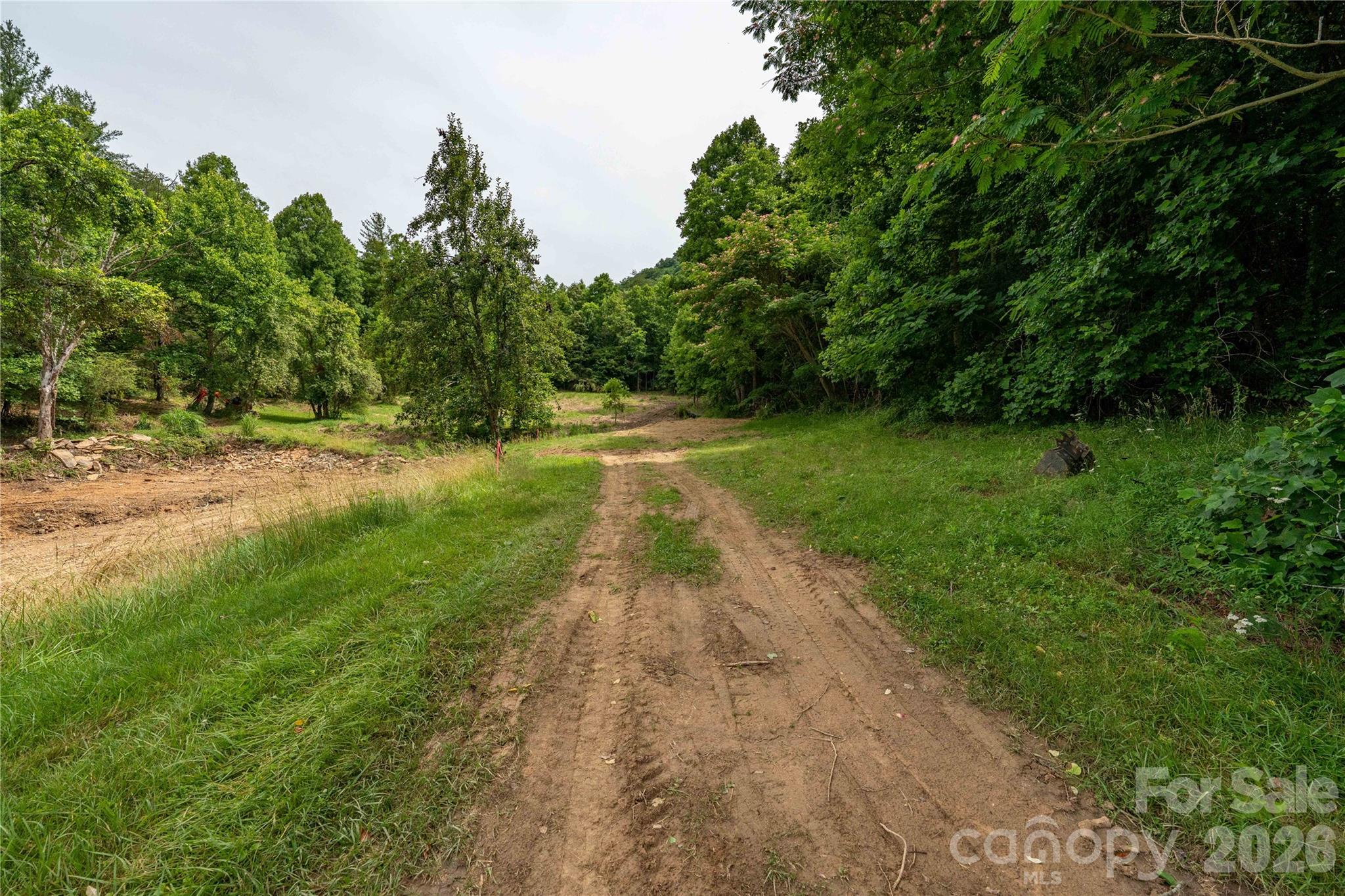 9999 Morgan Branch Road Property Photo 20