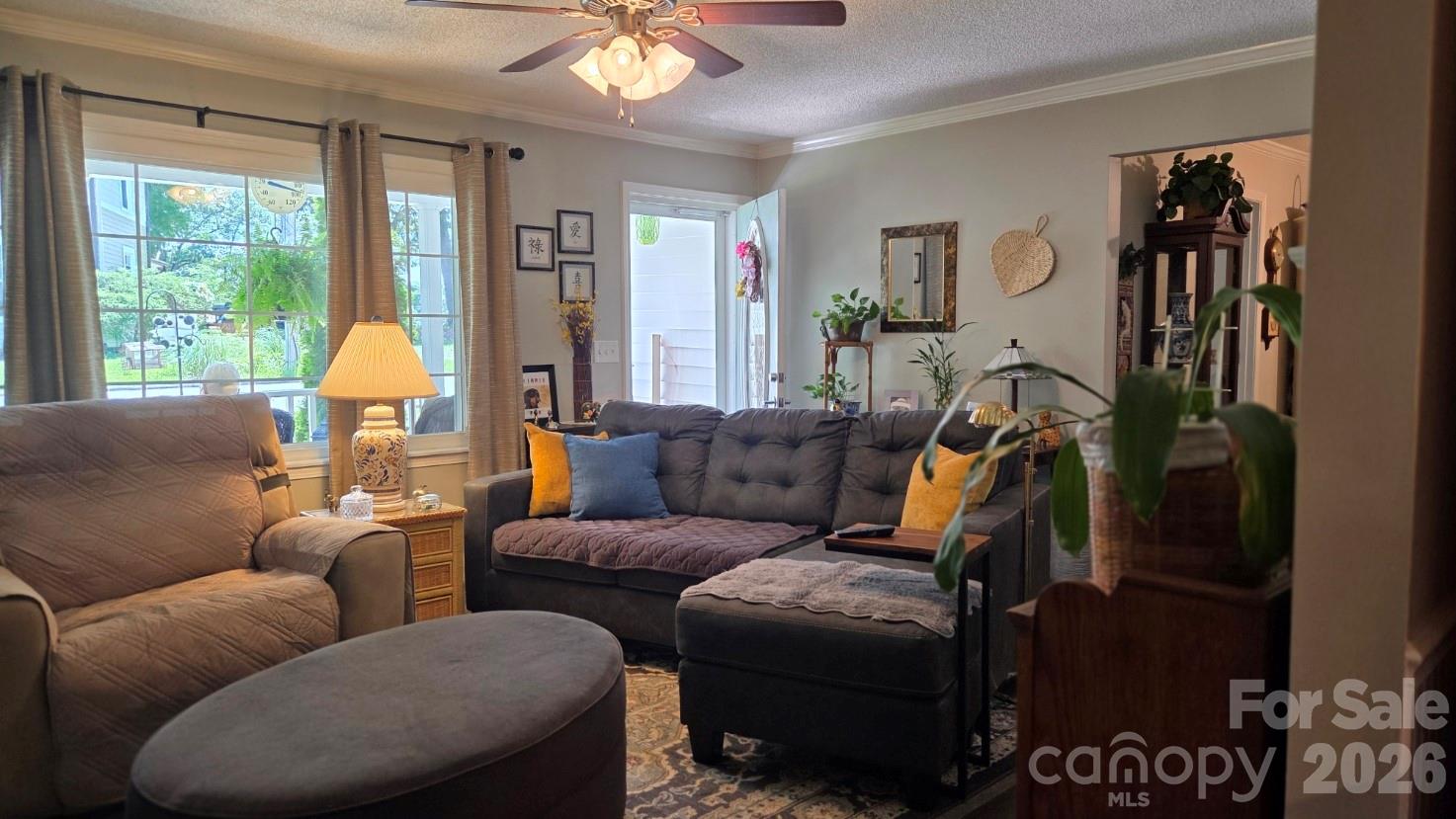 809 Alexander Street Property Photo 7