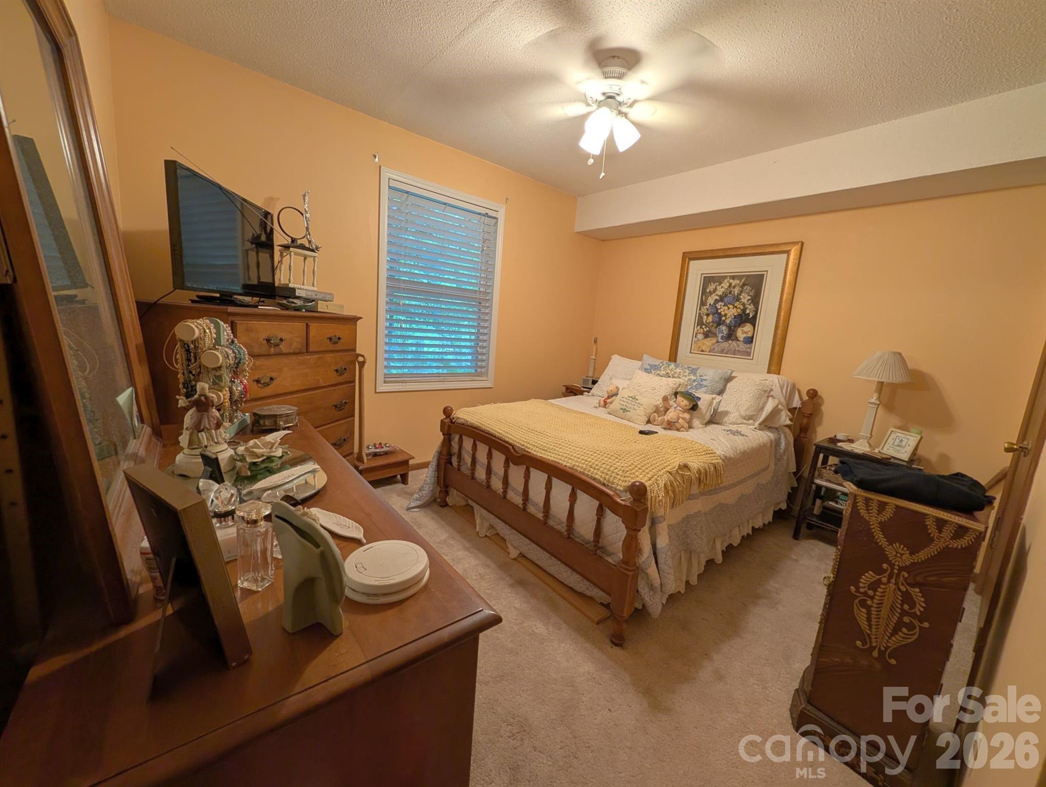 215 Swamp Fox Drive Property Photo 24
