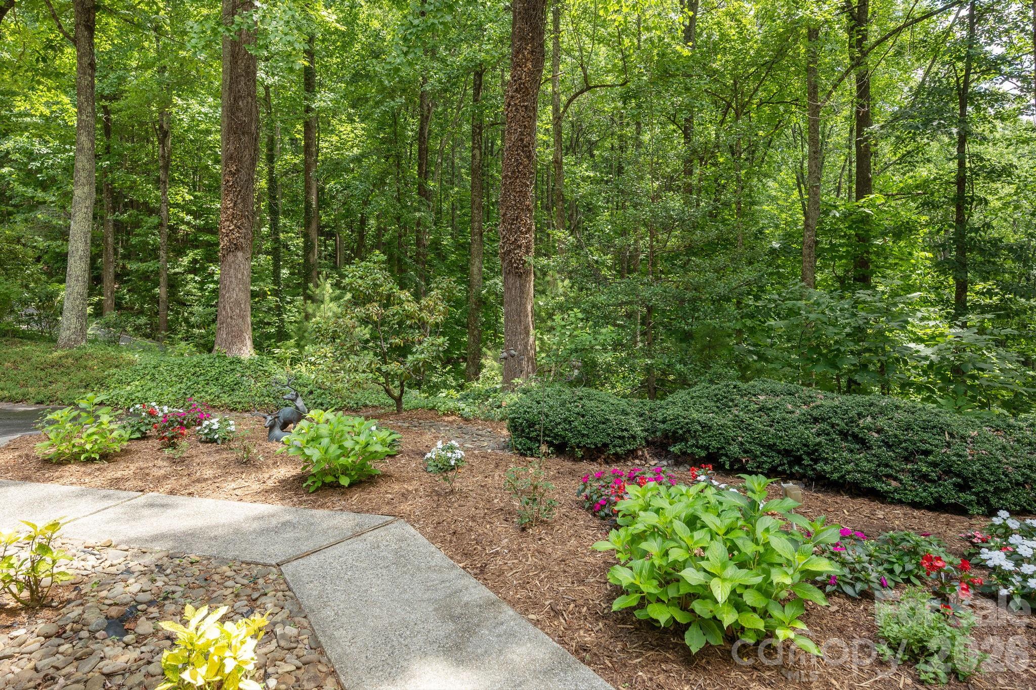 117 Tarnhill Drive Property Photo 4