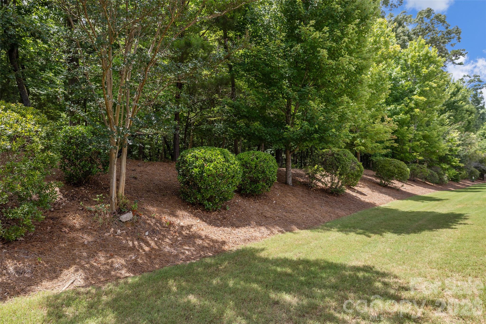 9015 Smokey Hill Lane Property Photo 4