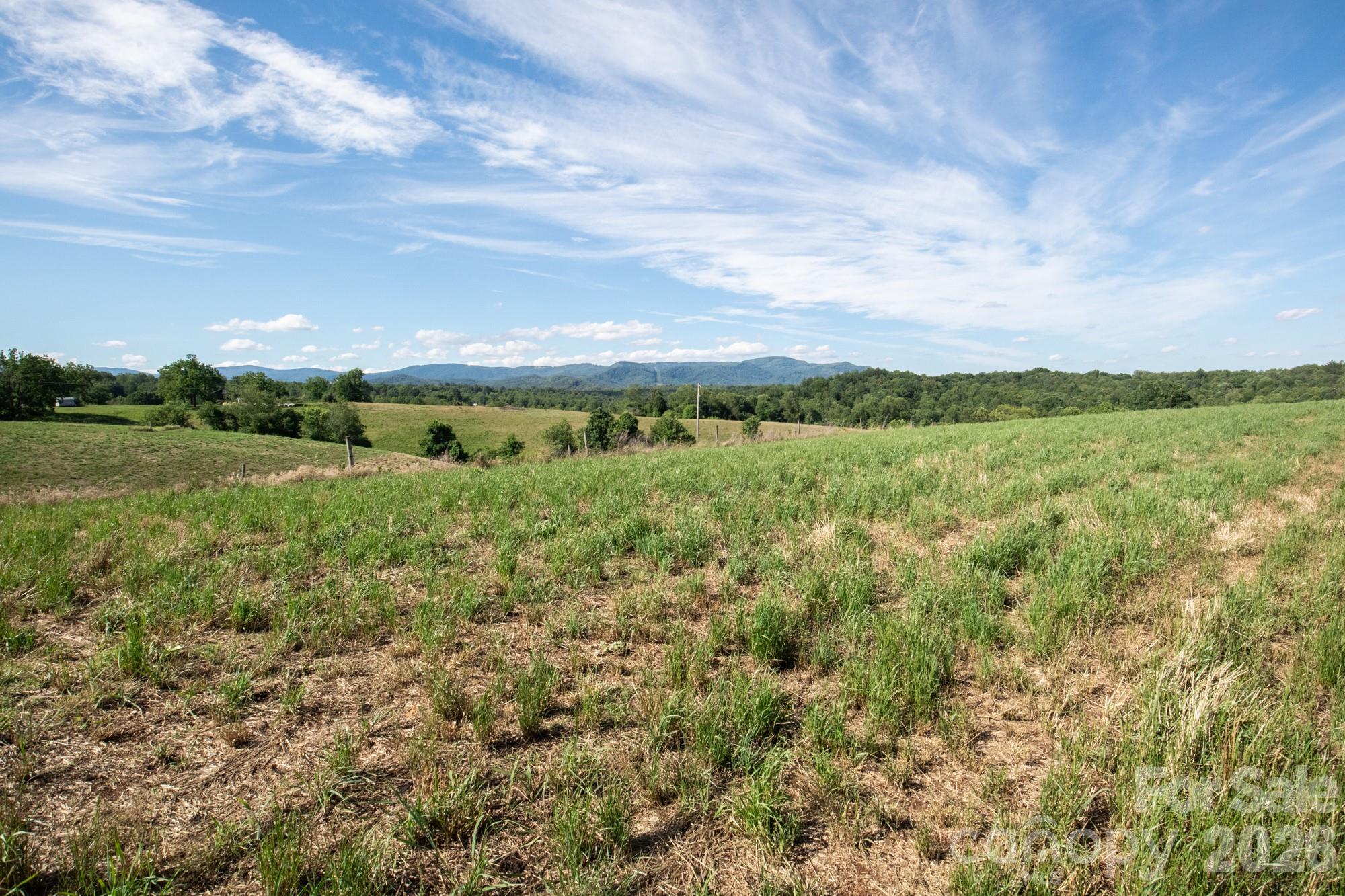 1779 Round Hill Church Road Property Photo 13