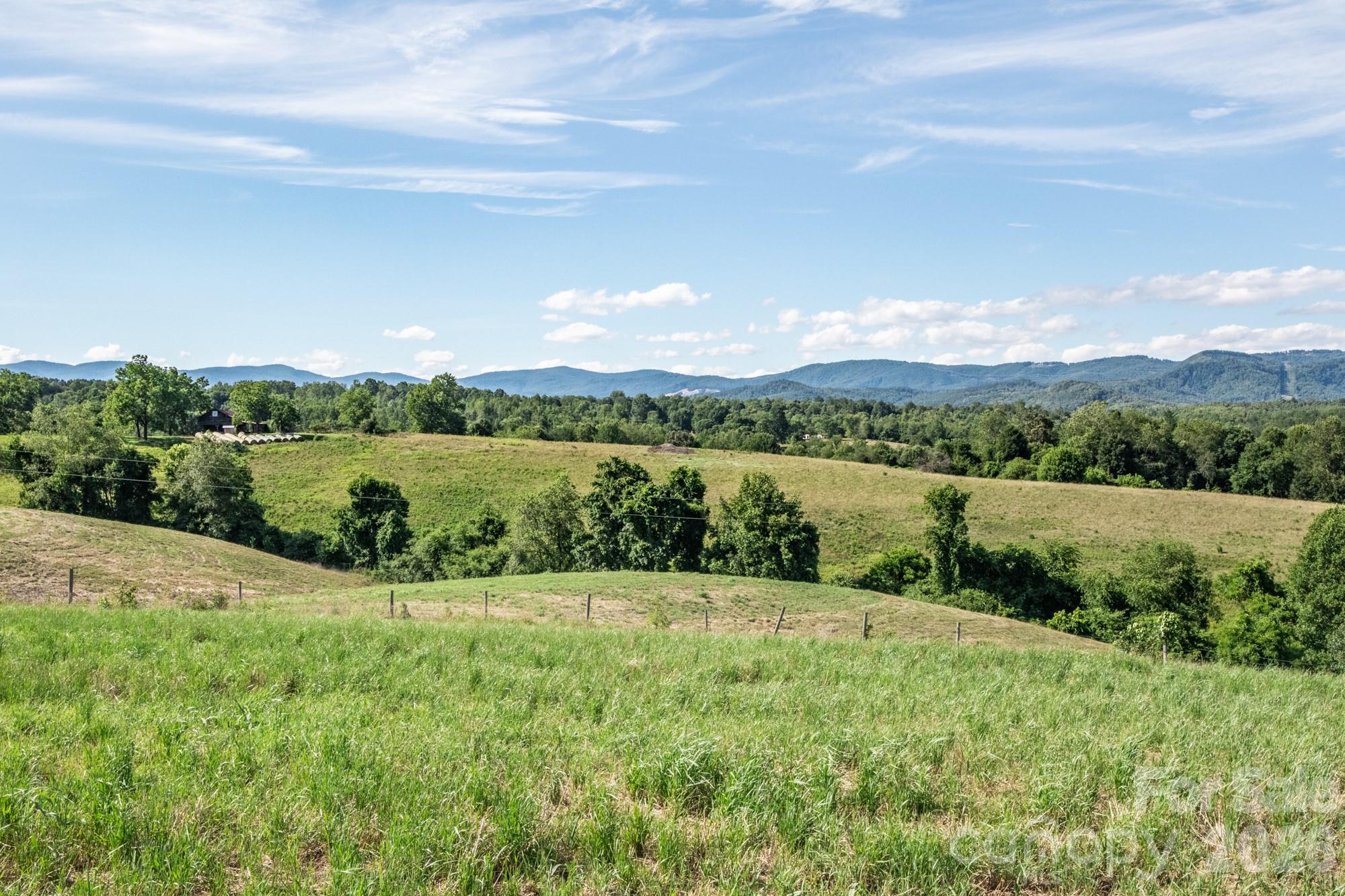 1779 Round Hill Church Road Property Photo 14